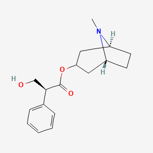 Could Not Find 2D Structure