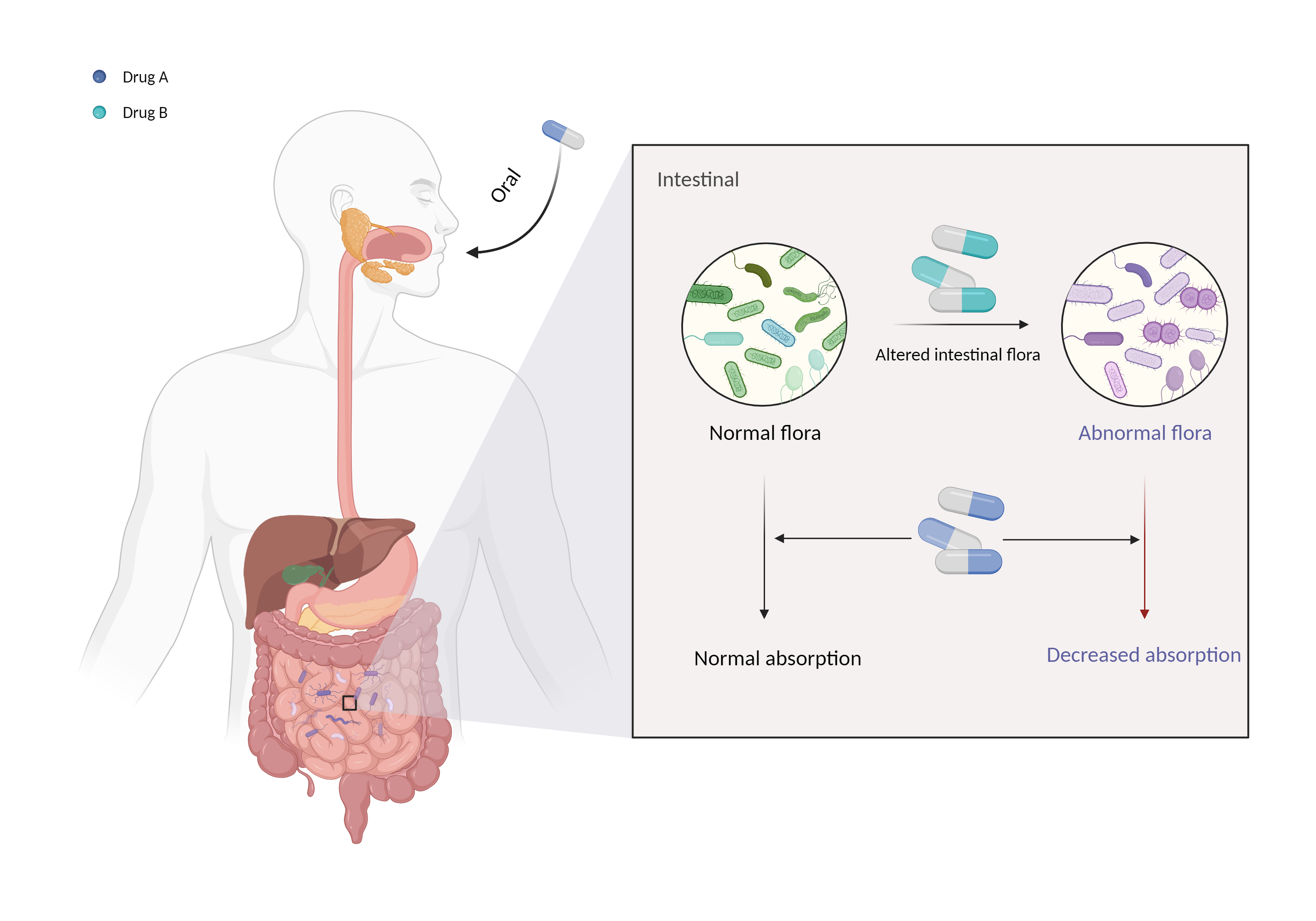 Could Not Find 2D Structure