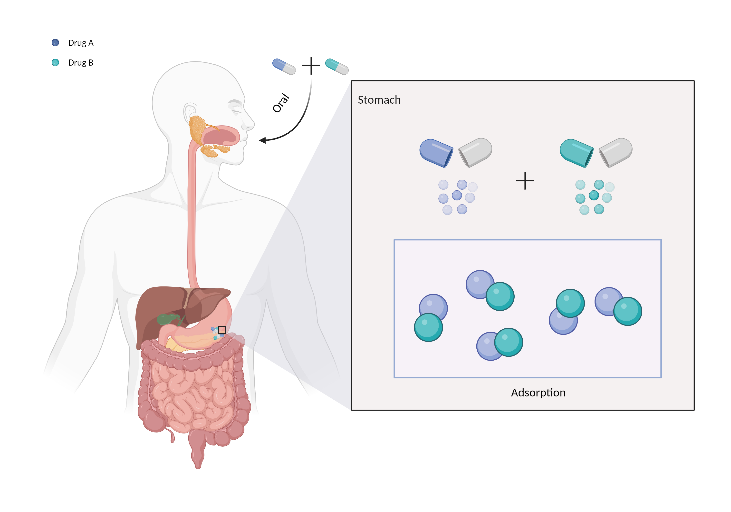Could Not Find 2D Structure