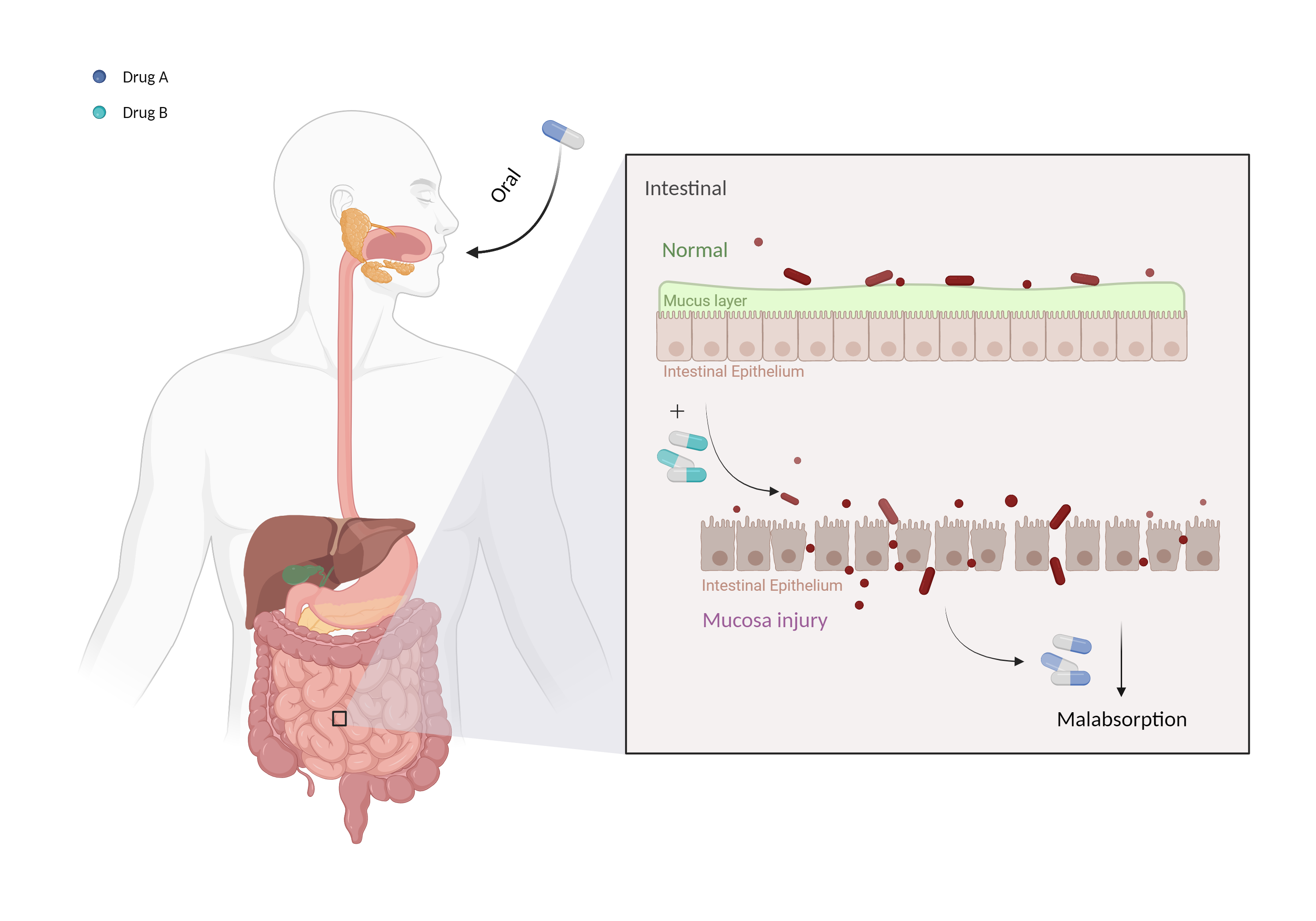 Could Not Find 2D Structure