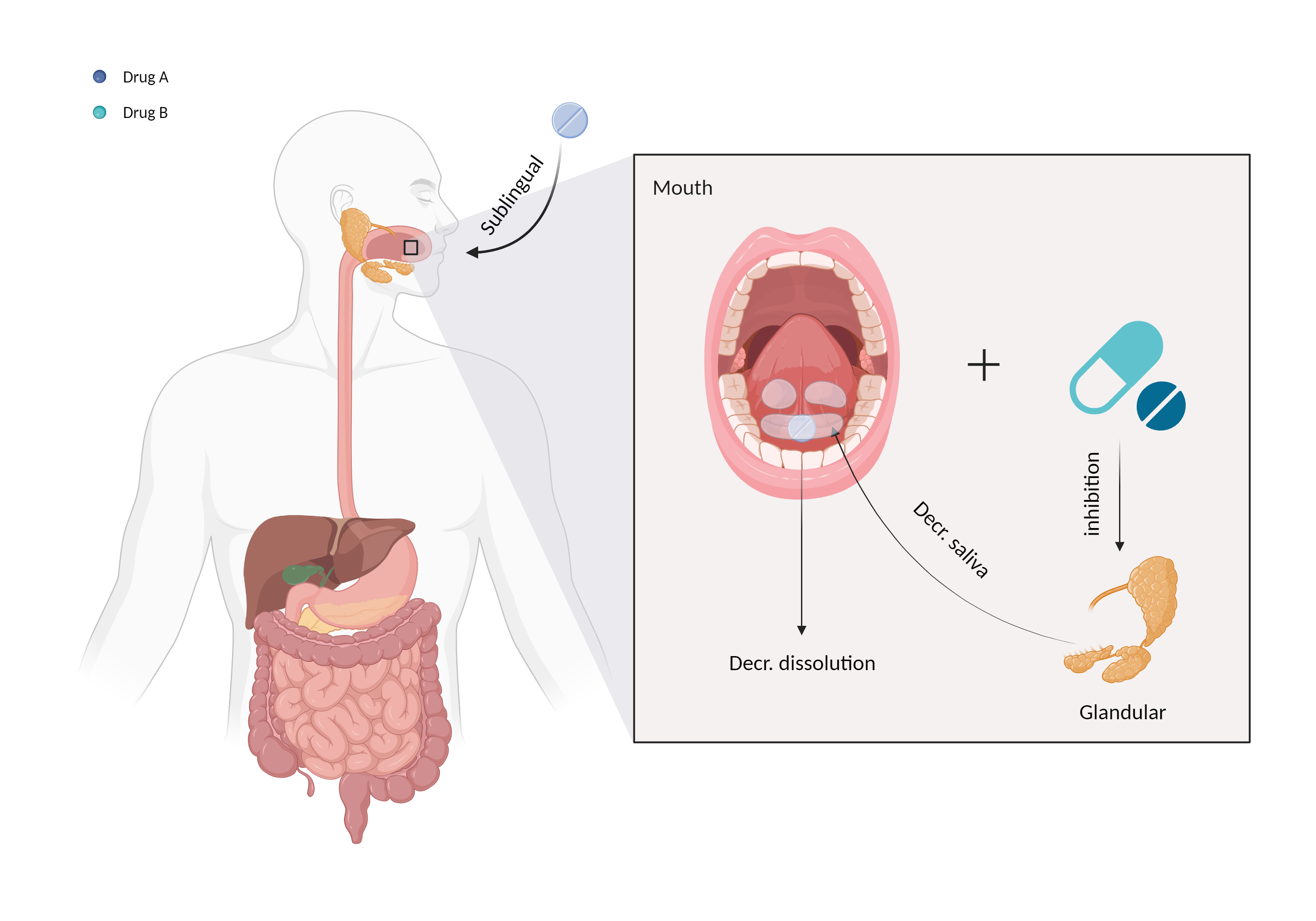 Could Not Find 2D Structure