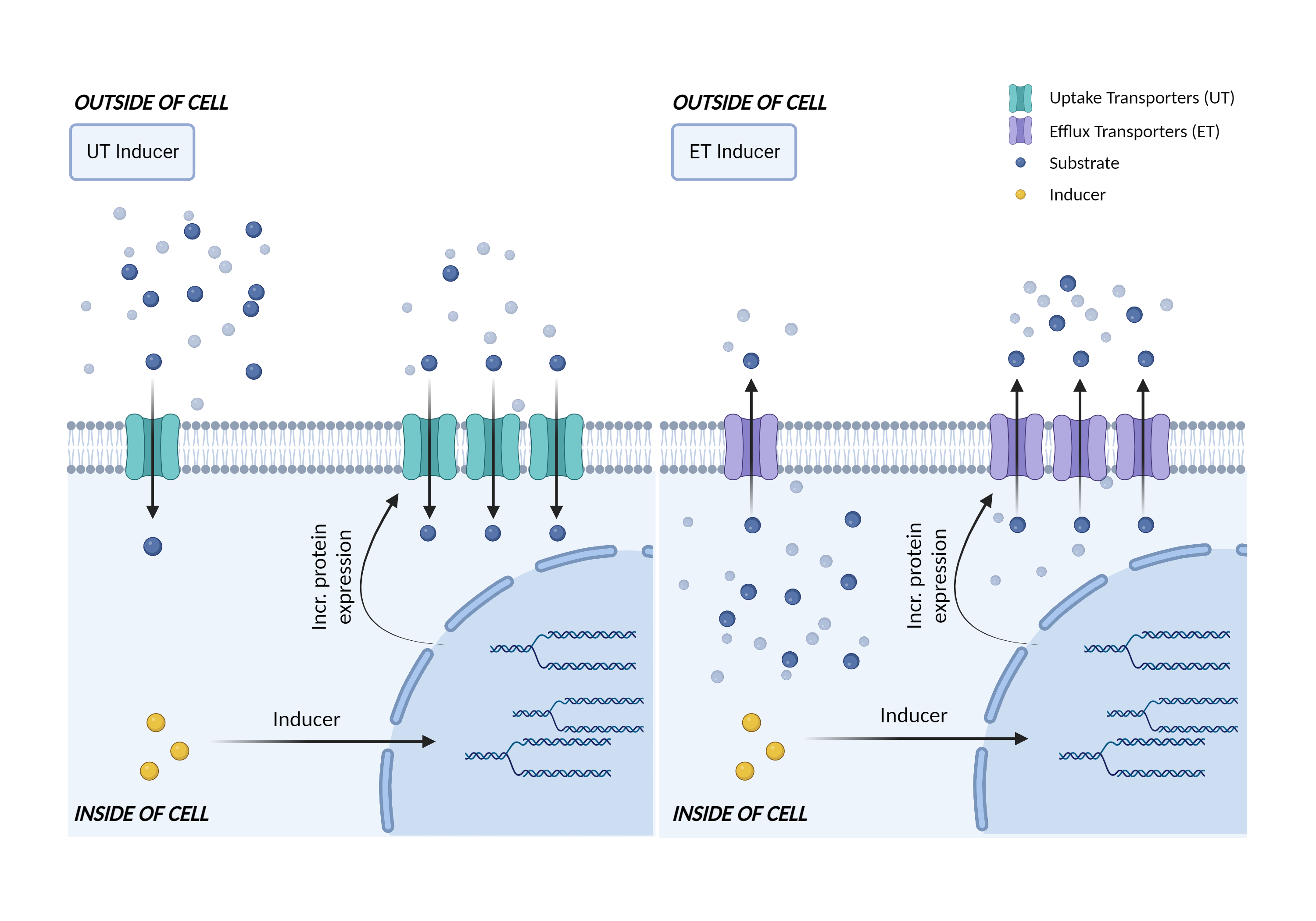 Could Not Find 2D Structure
