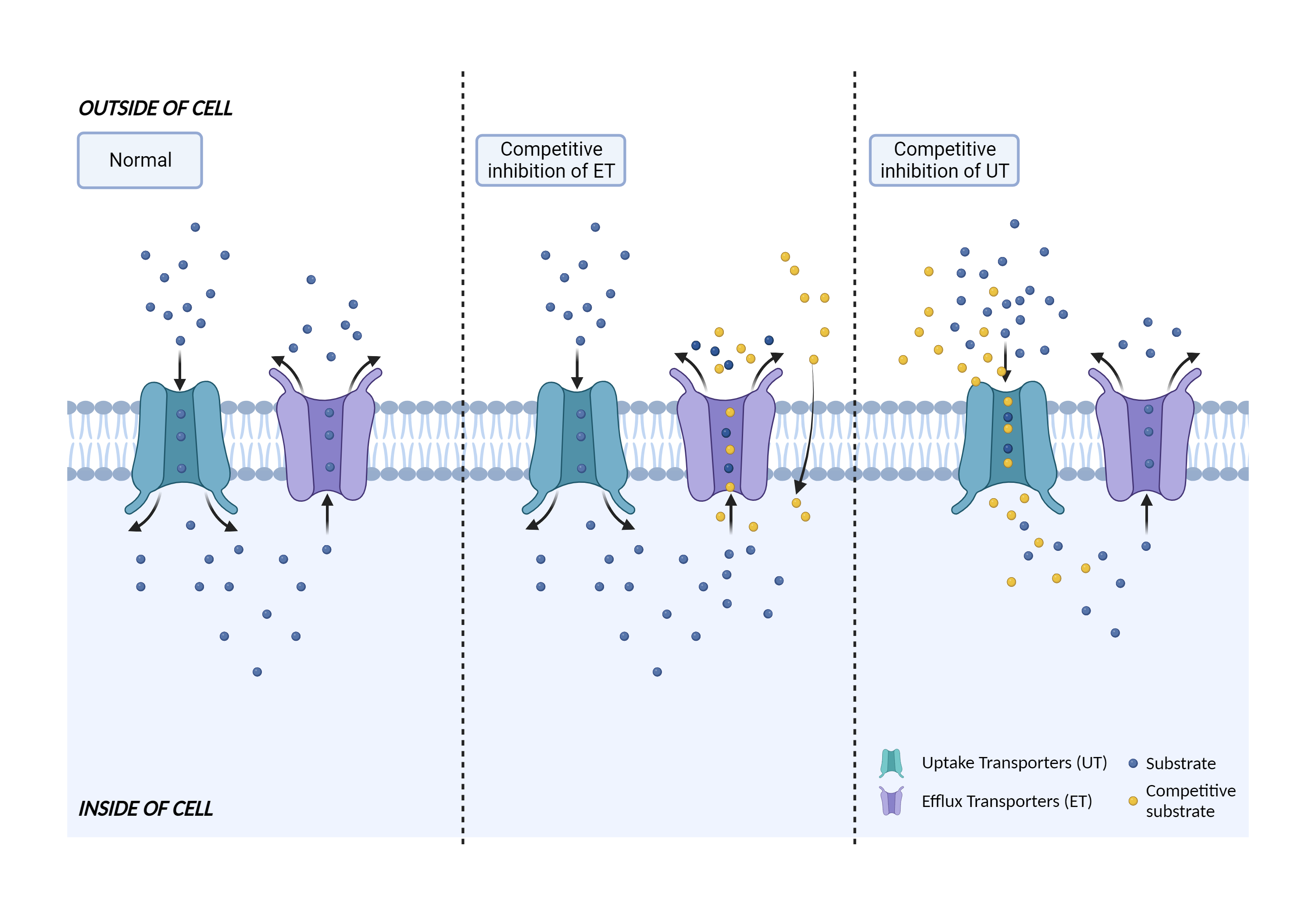 Could Not Find 2D Structure