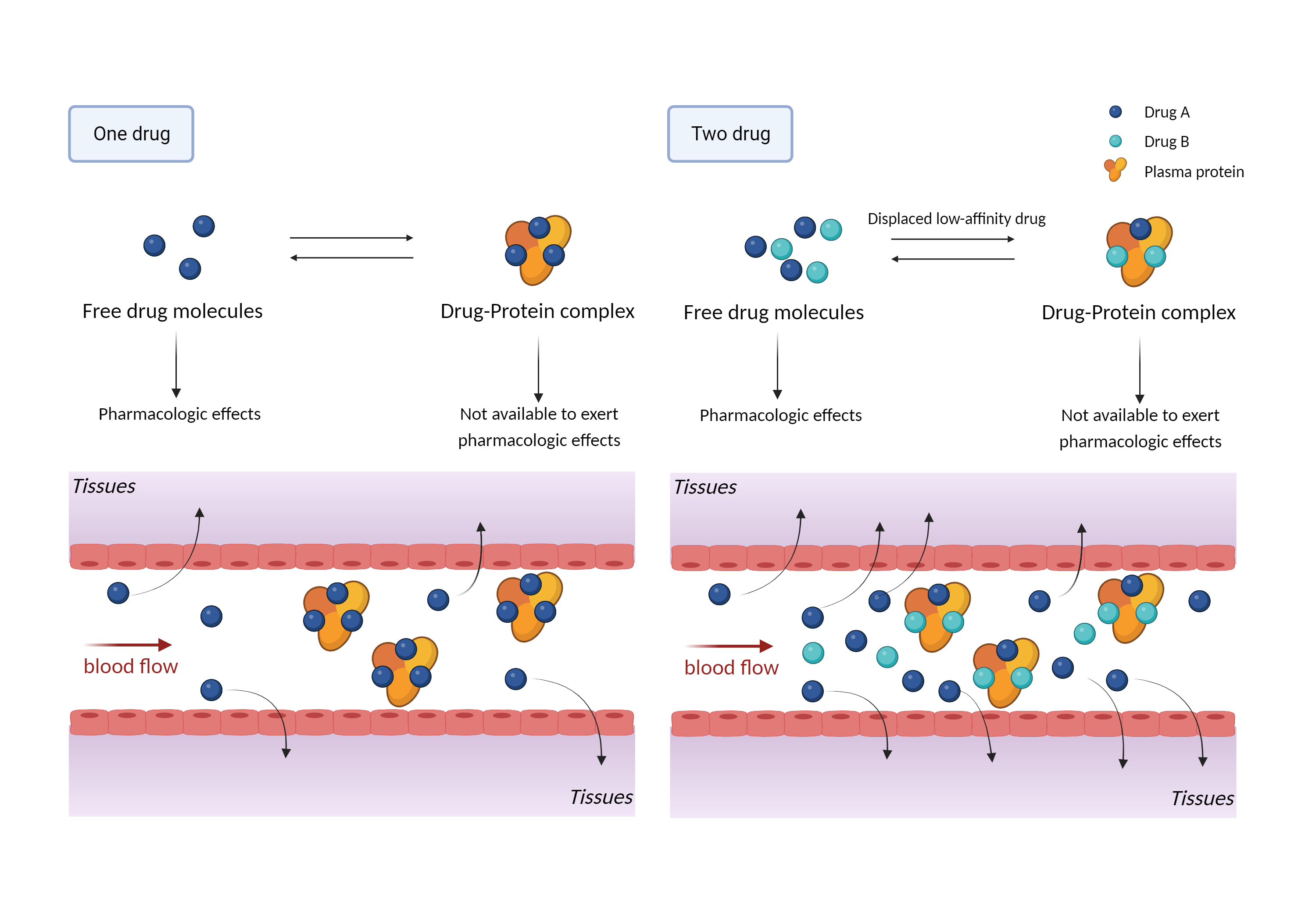 Could Not Find 2D Structure
