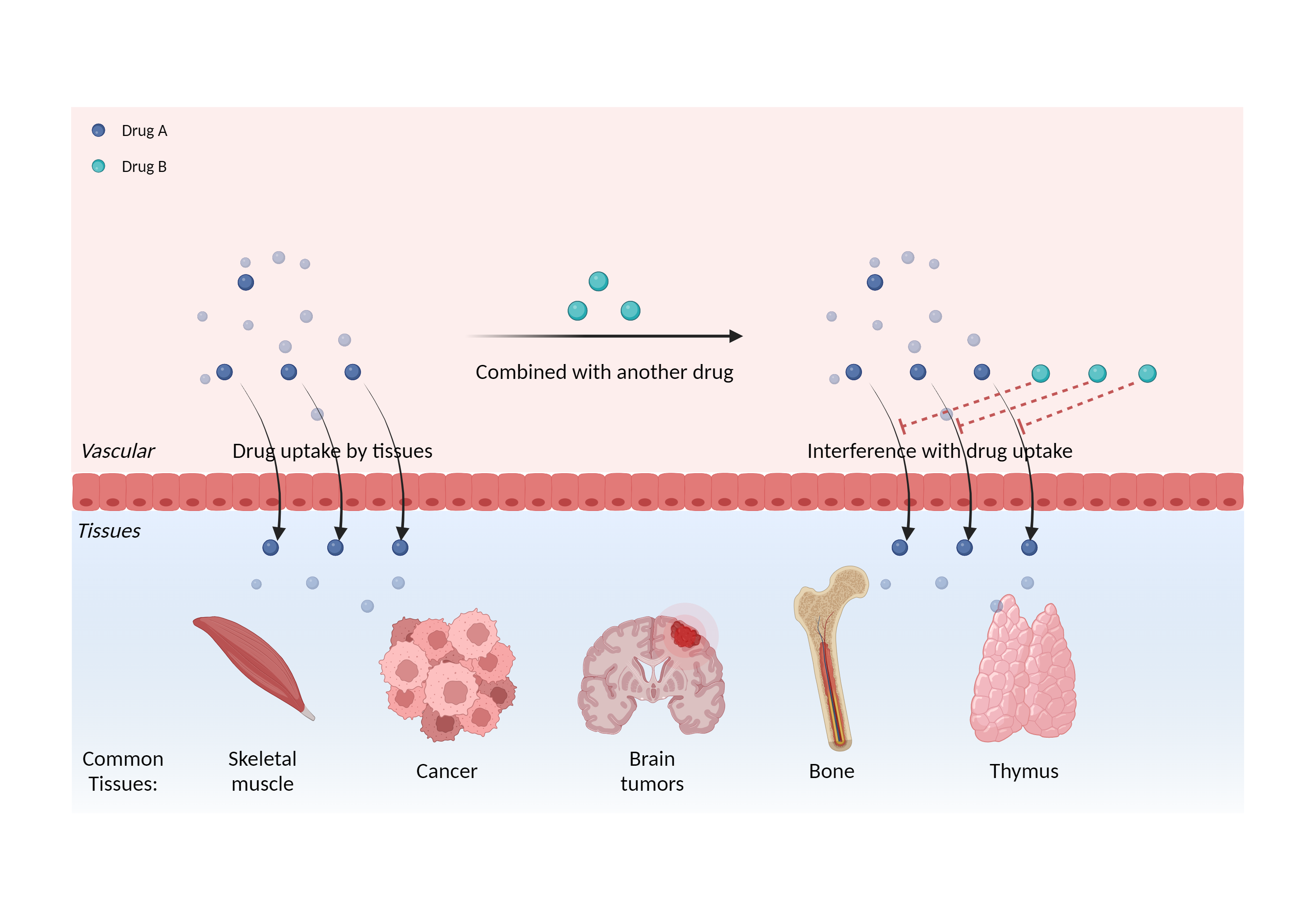 Could Not Find 2D Structure