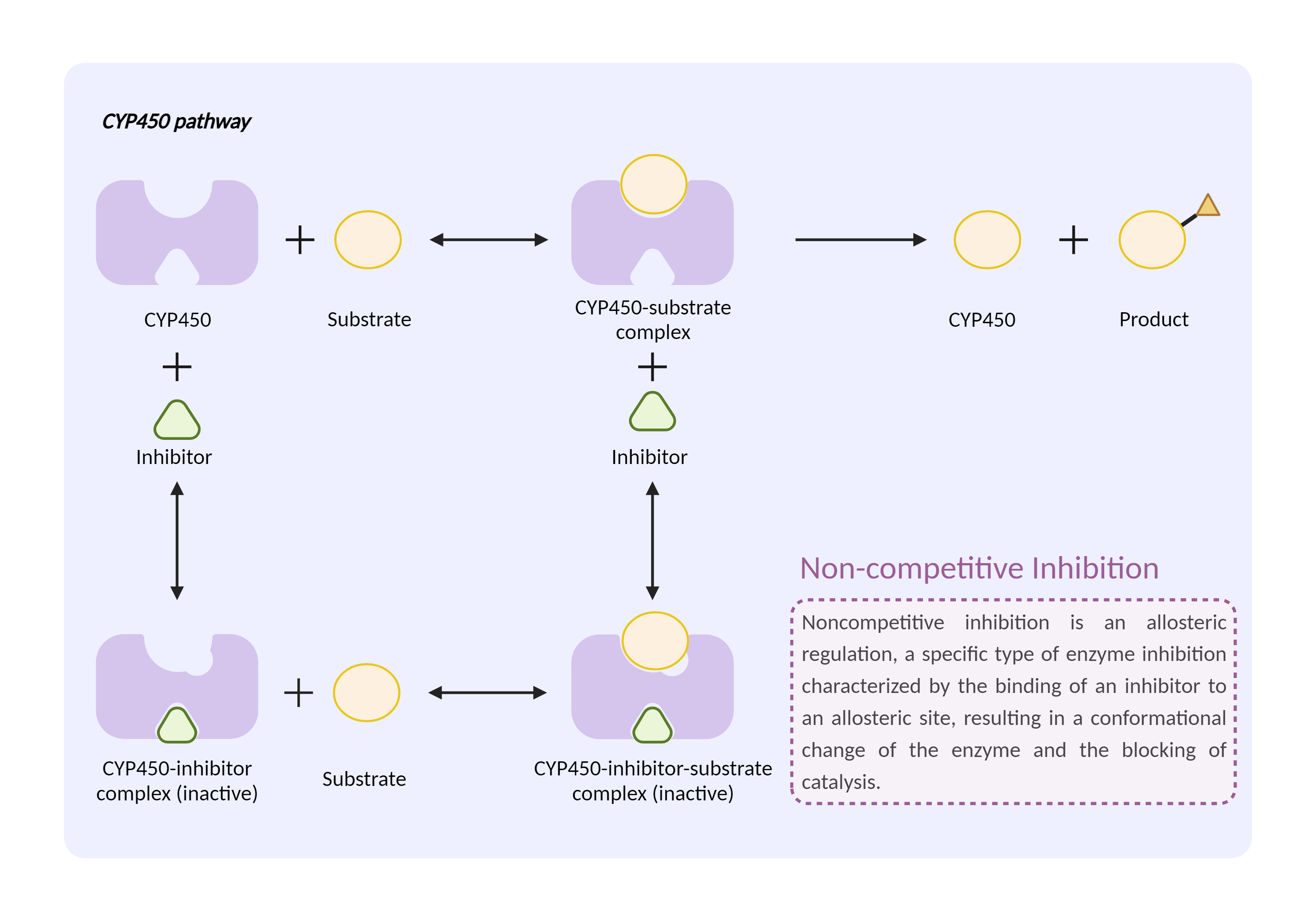 Could Not Find 2D Structure