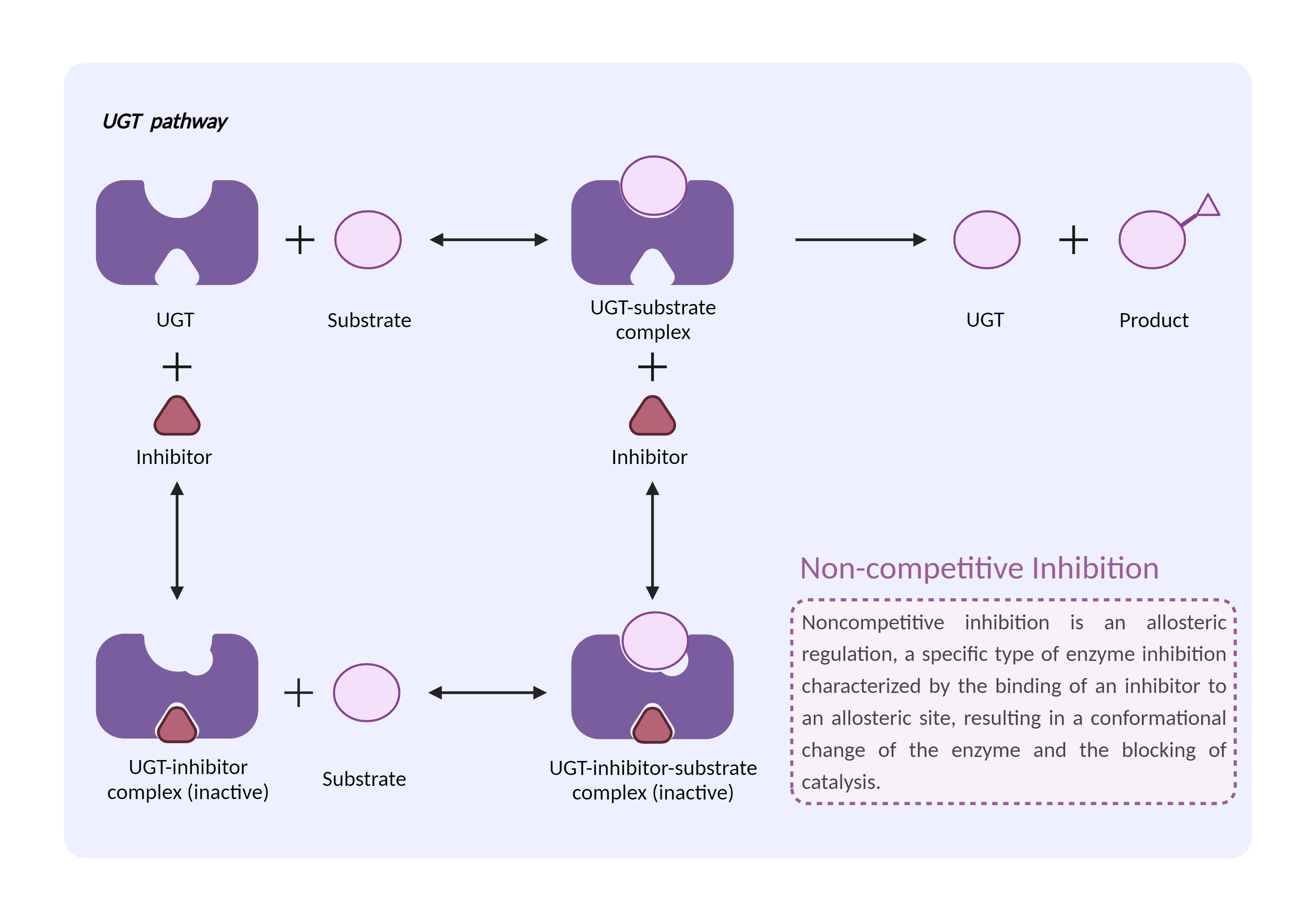 Could Not Find 2D Structure