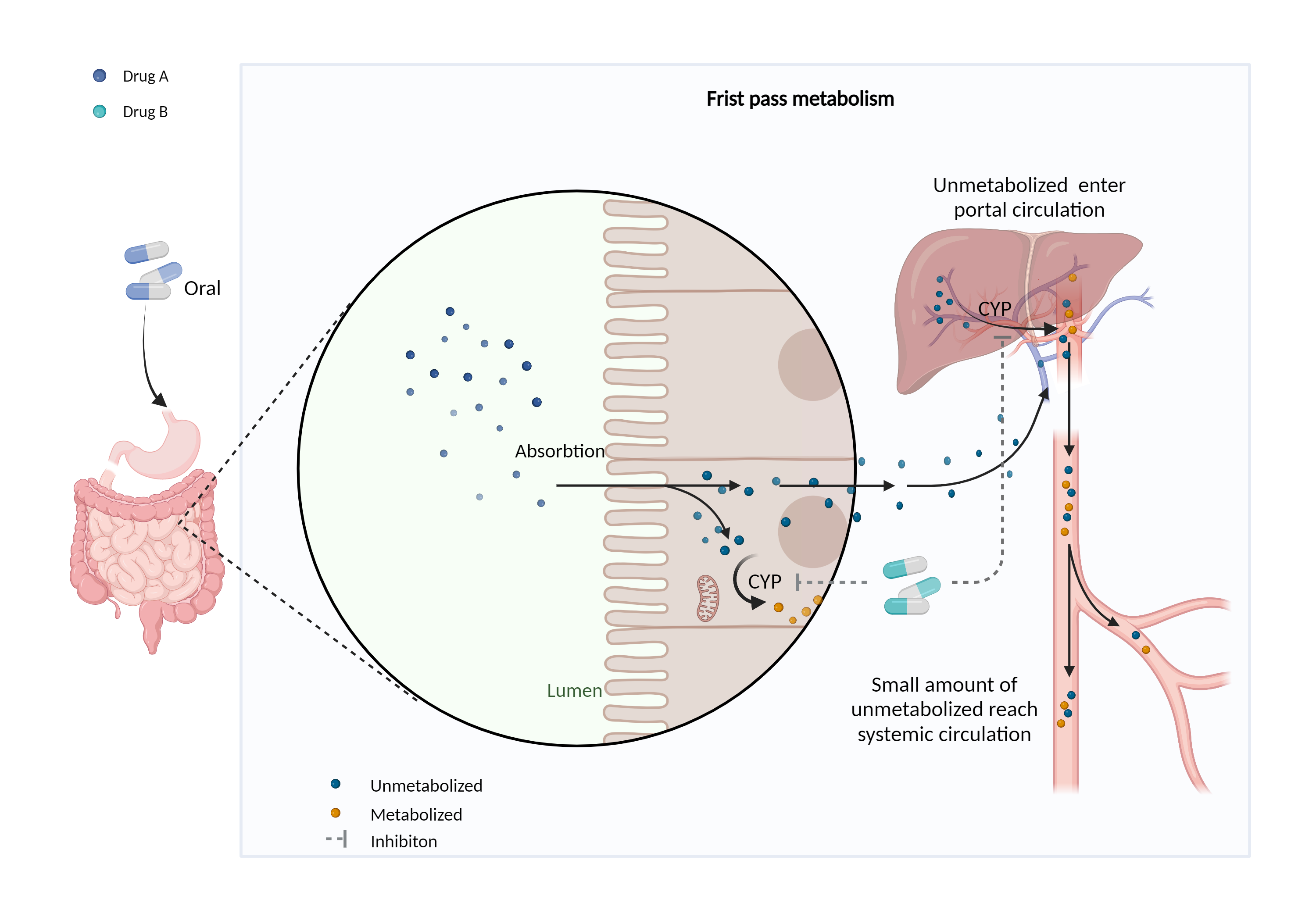 Could Not Find 2D Structure