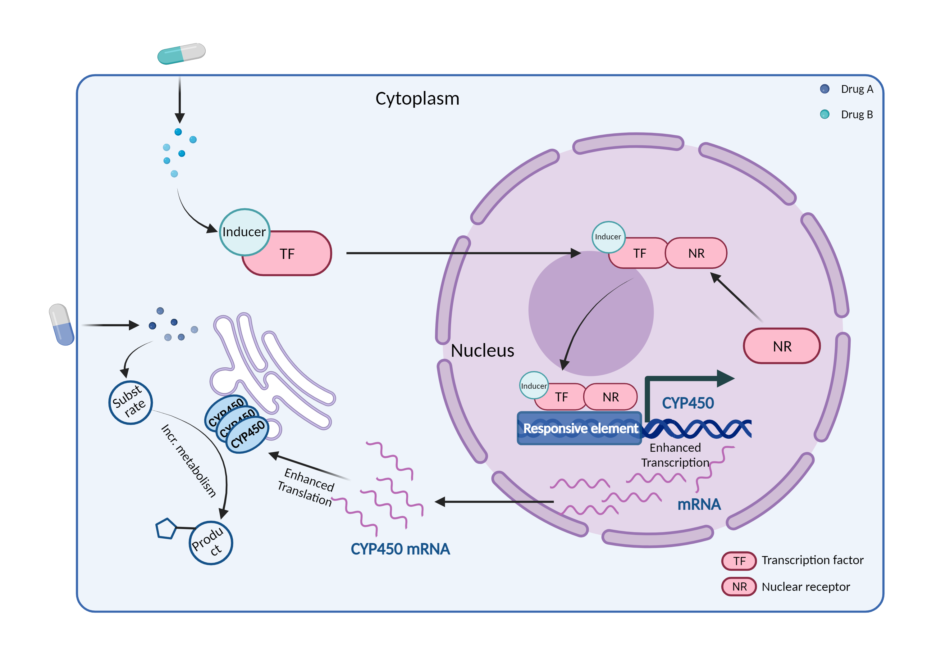 Could Not Find 2D Structure