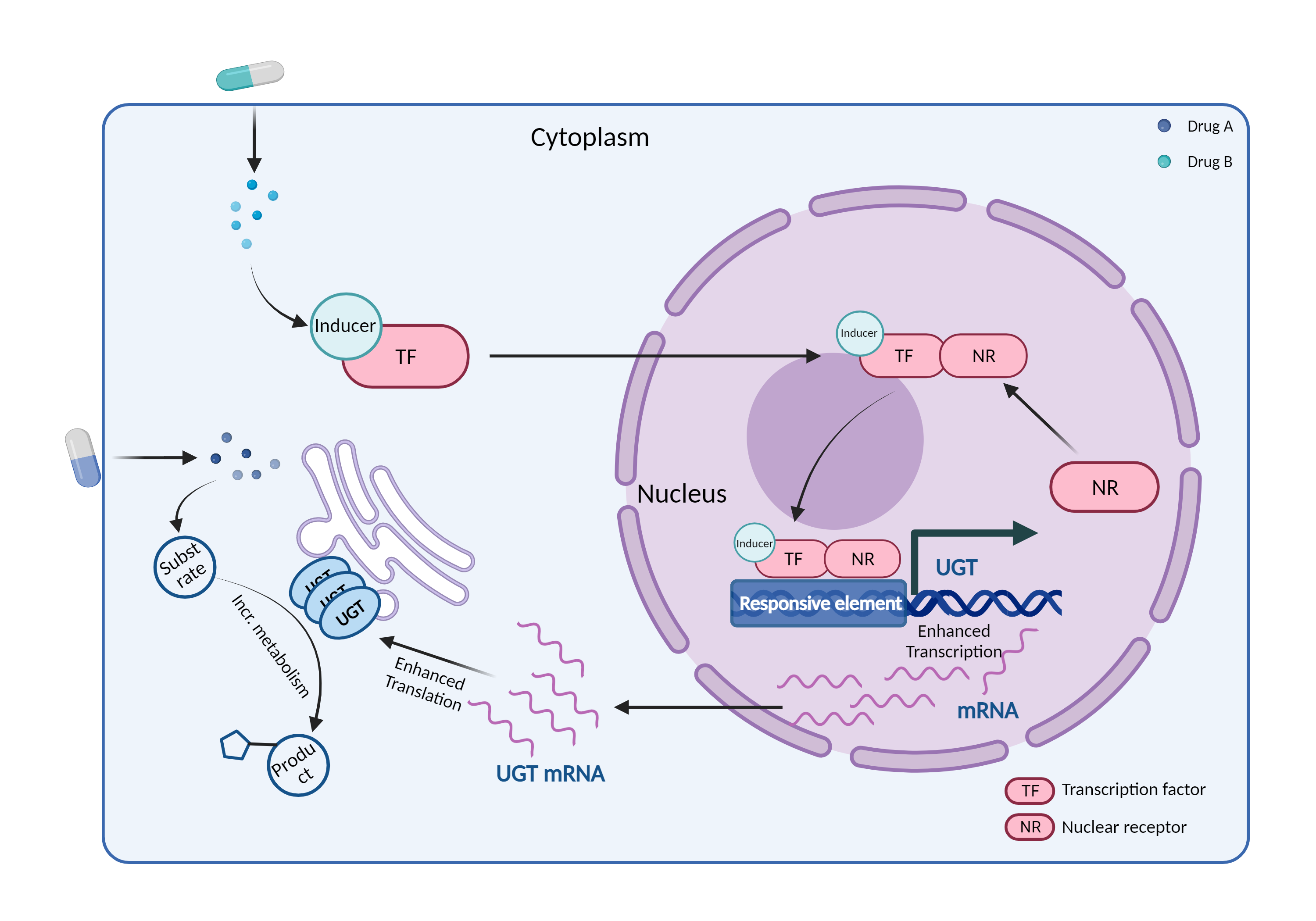 Could Not Find 2D Structure