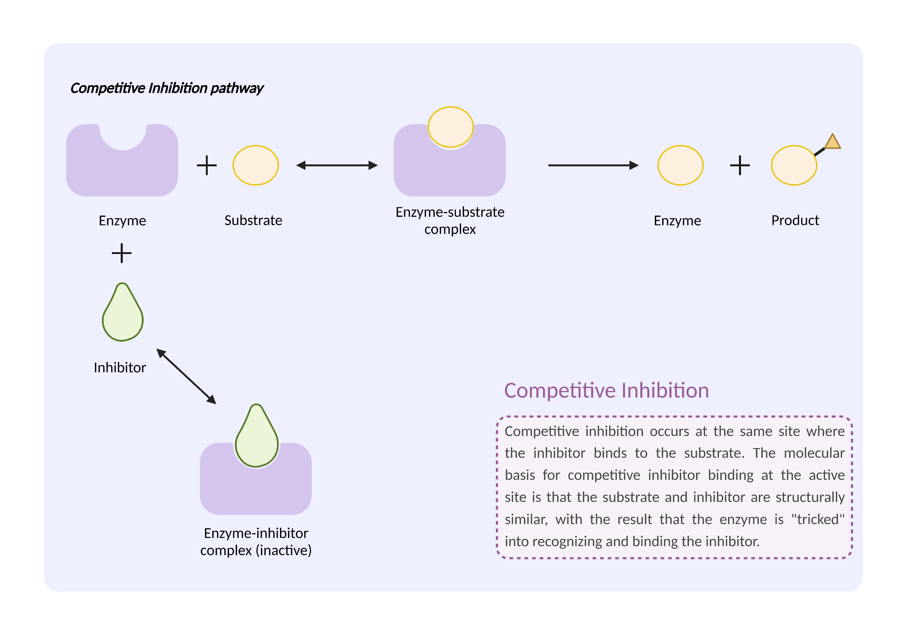 Could Not Find 2D Structure