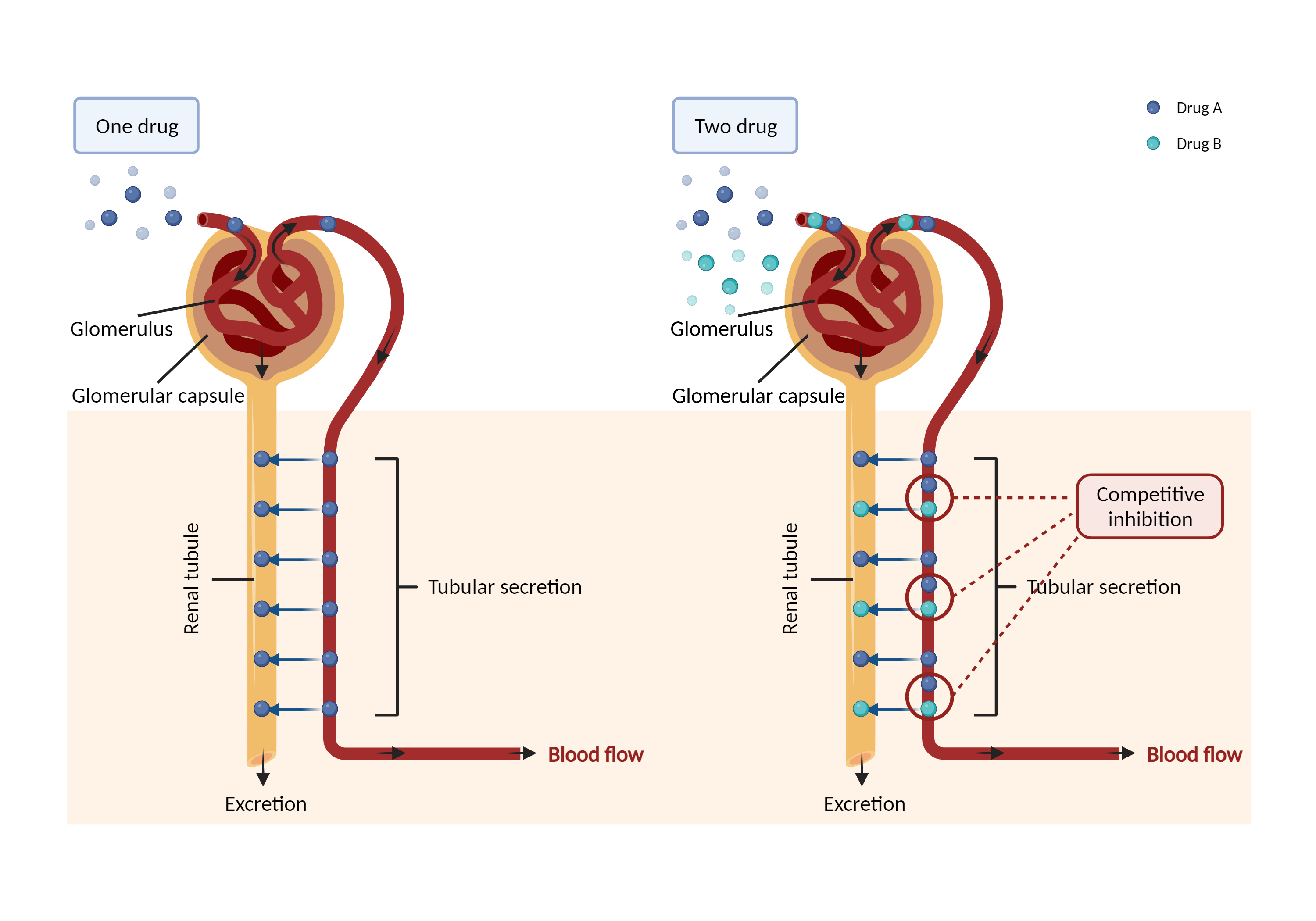 Could Not Find 2D Structure