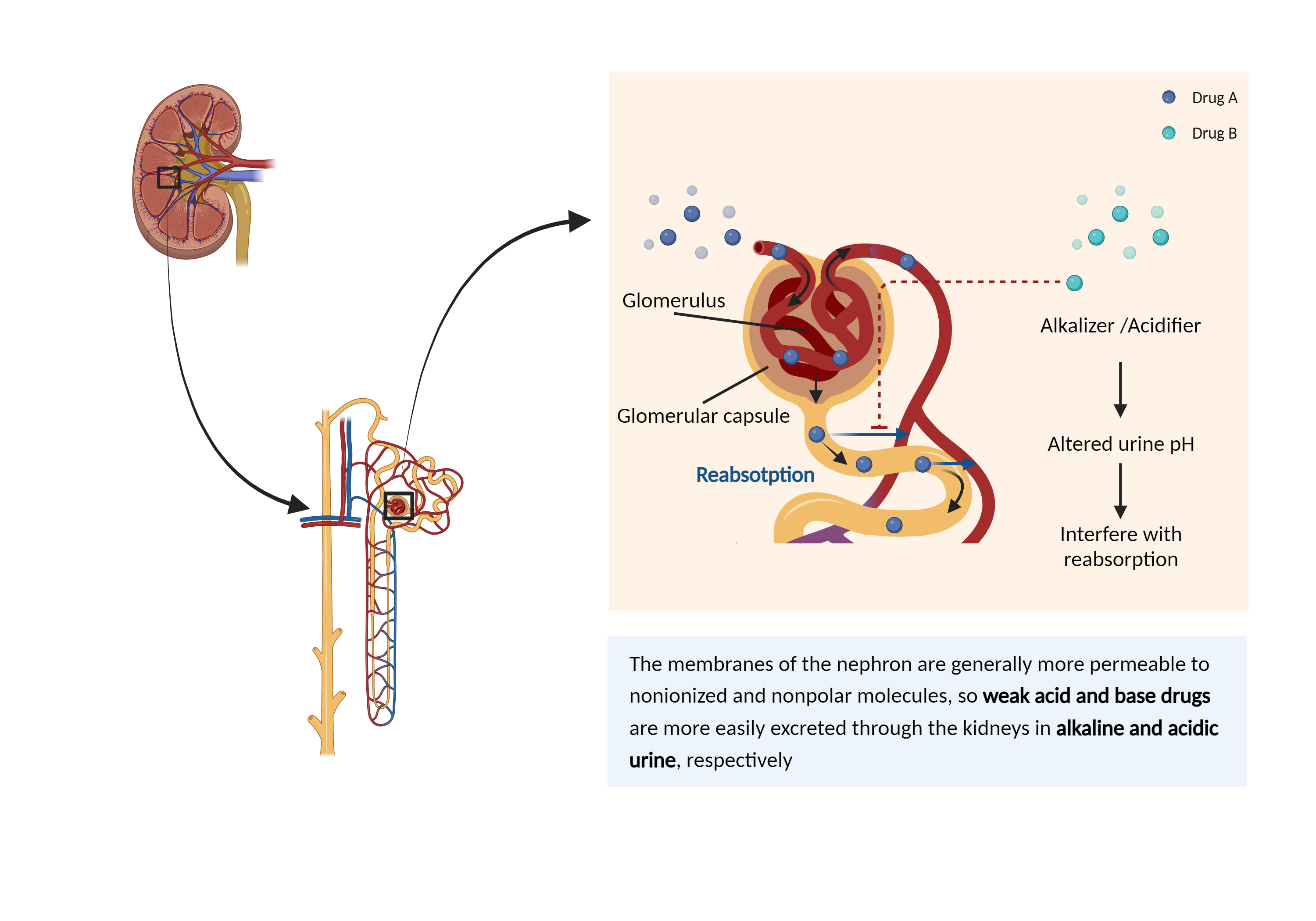 Could Not Find 2D Structure
