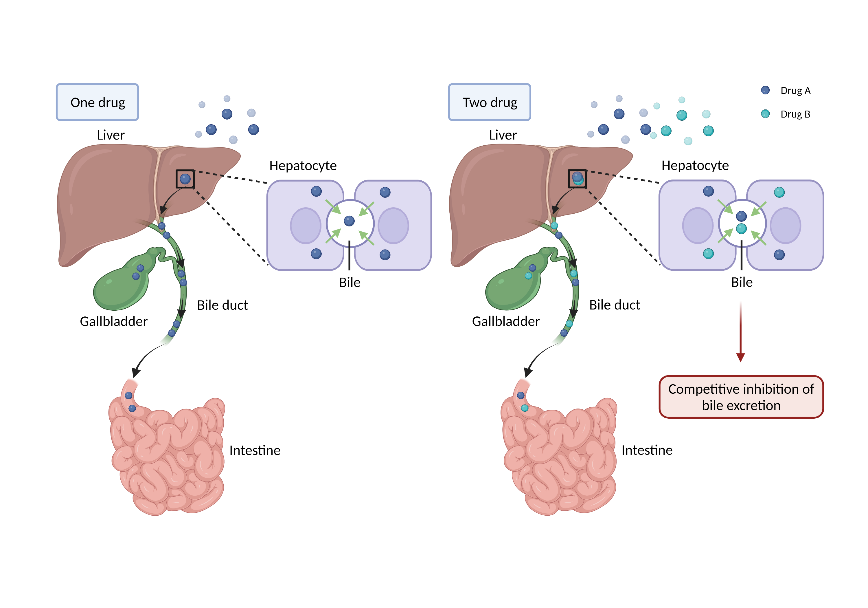 Could Not Find 2D Structure