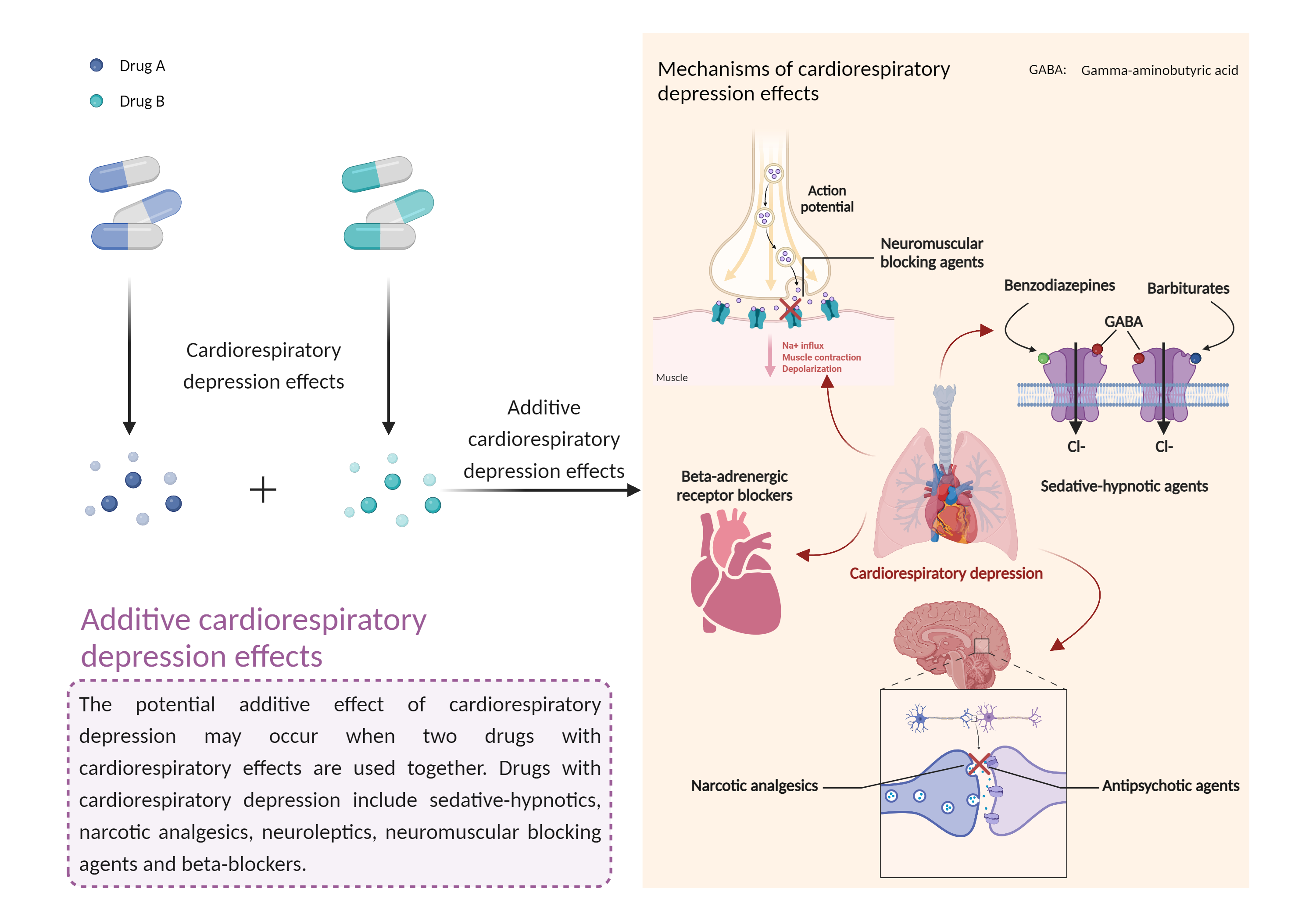 Could Not Find 2D Structure