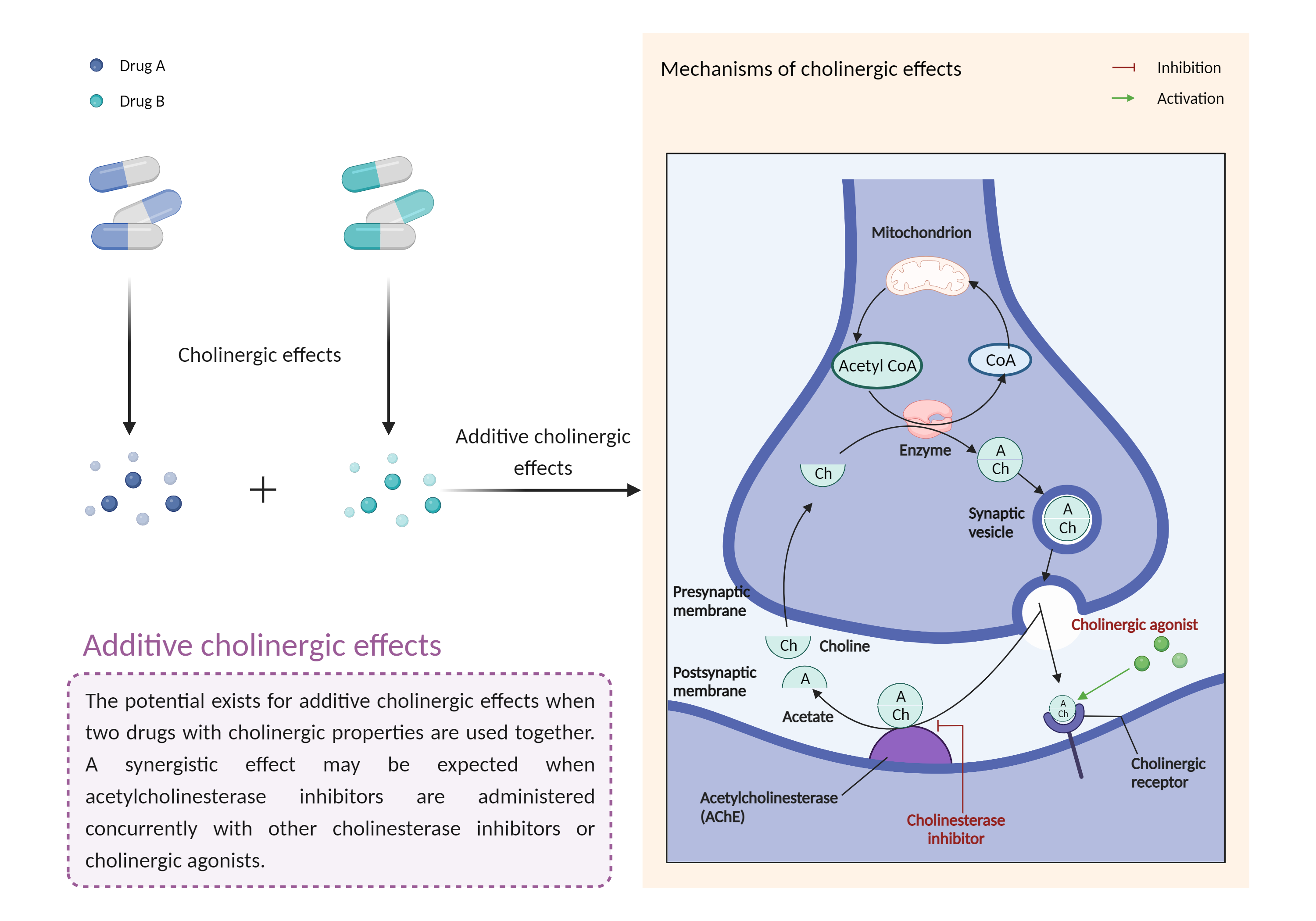 Could Not Find 2D Structure