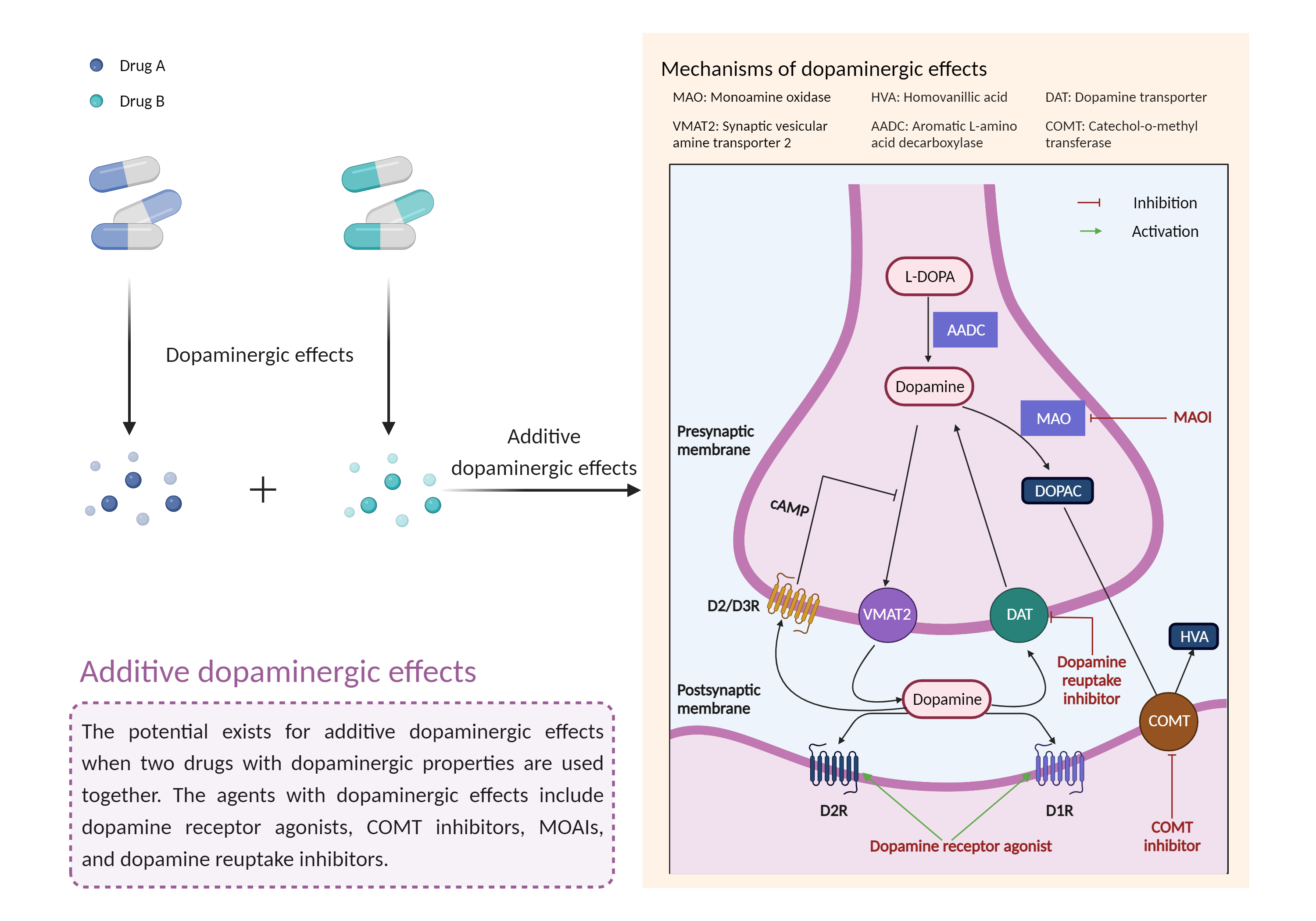 Could Not Find 2D Structure
