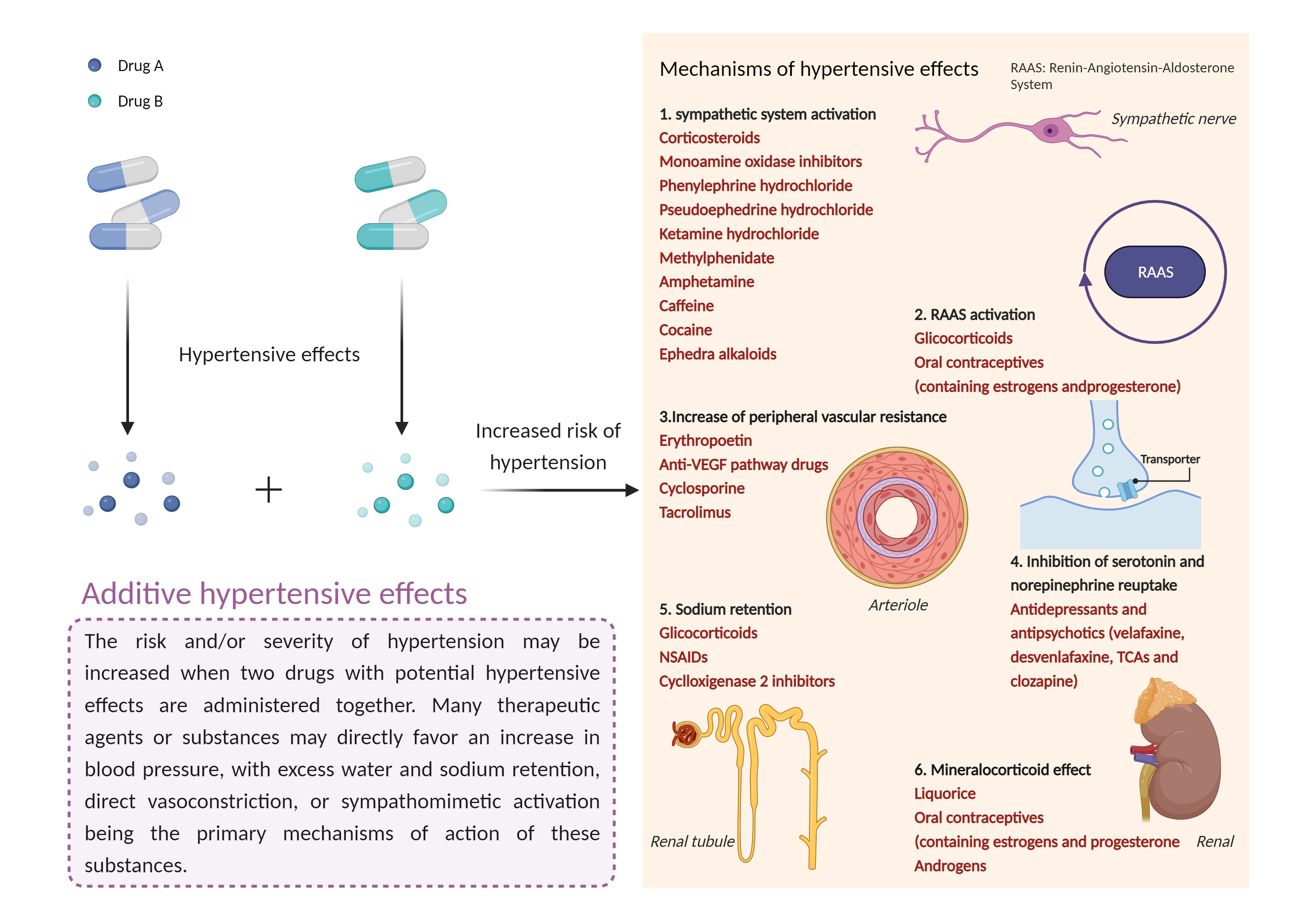 Could Not Find 2D Structure