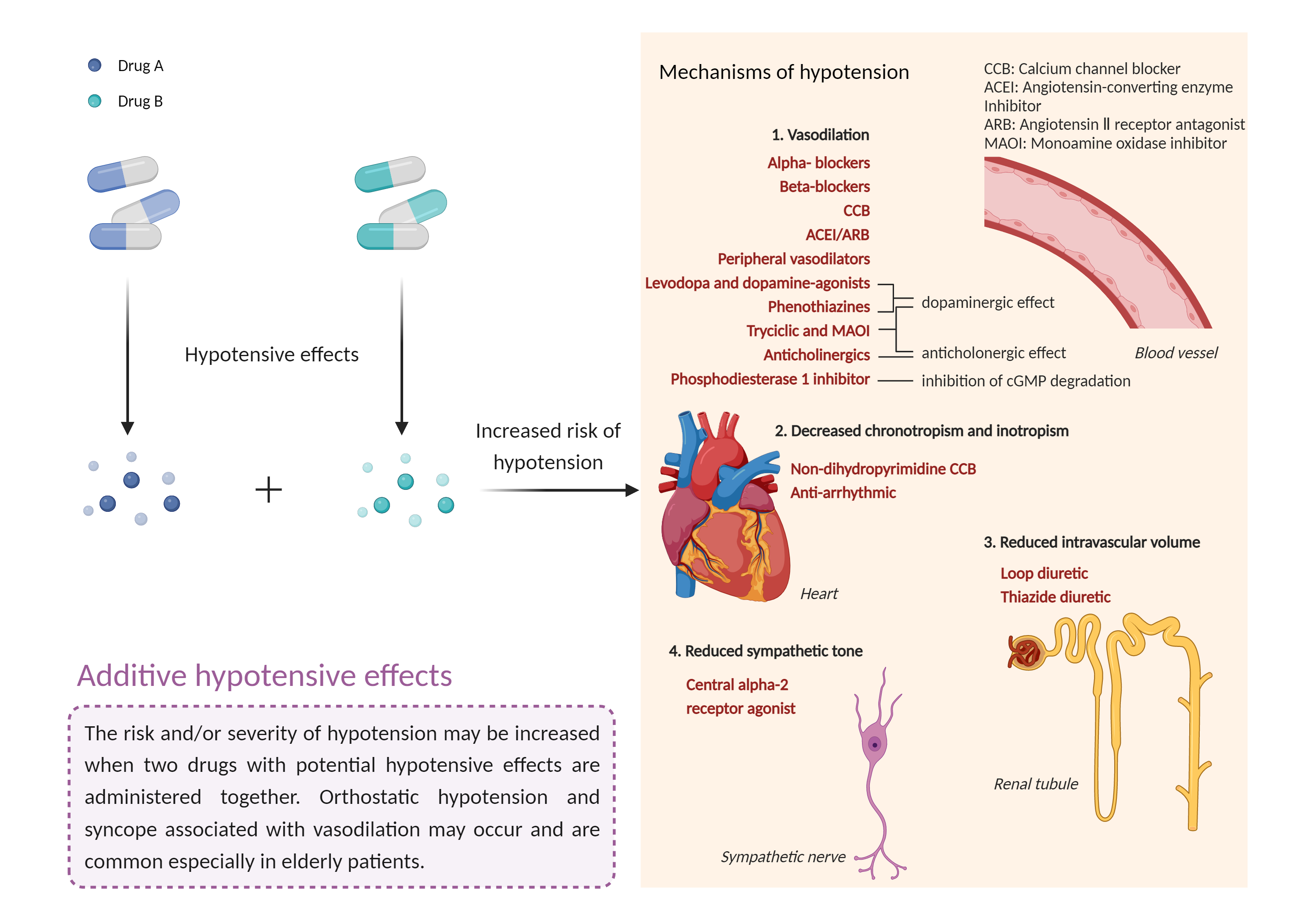 Could Not Find 2D Structure