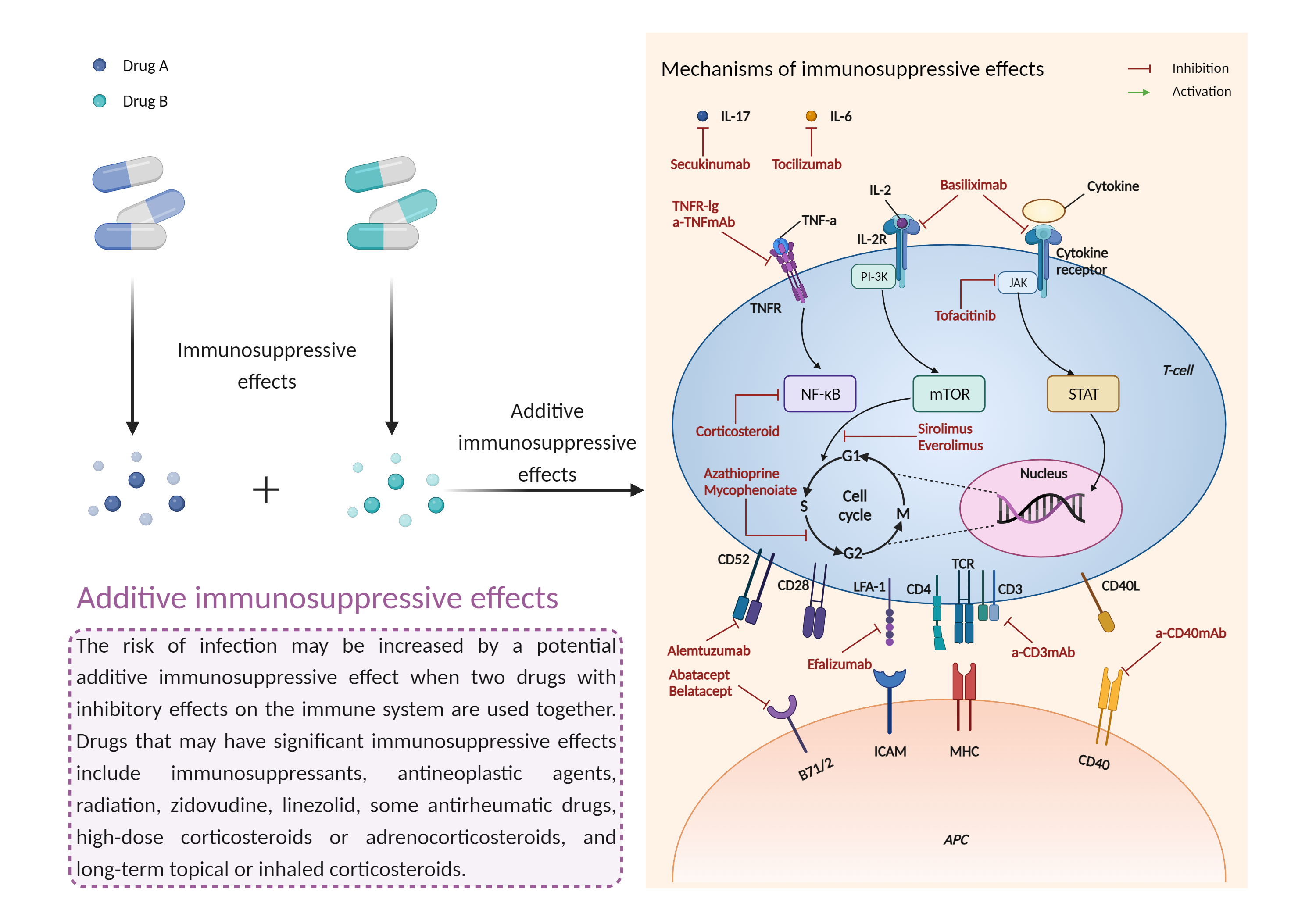 Could Not Find 2D Structure