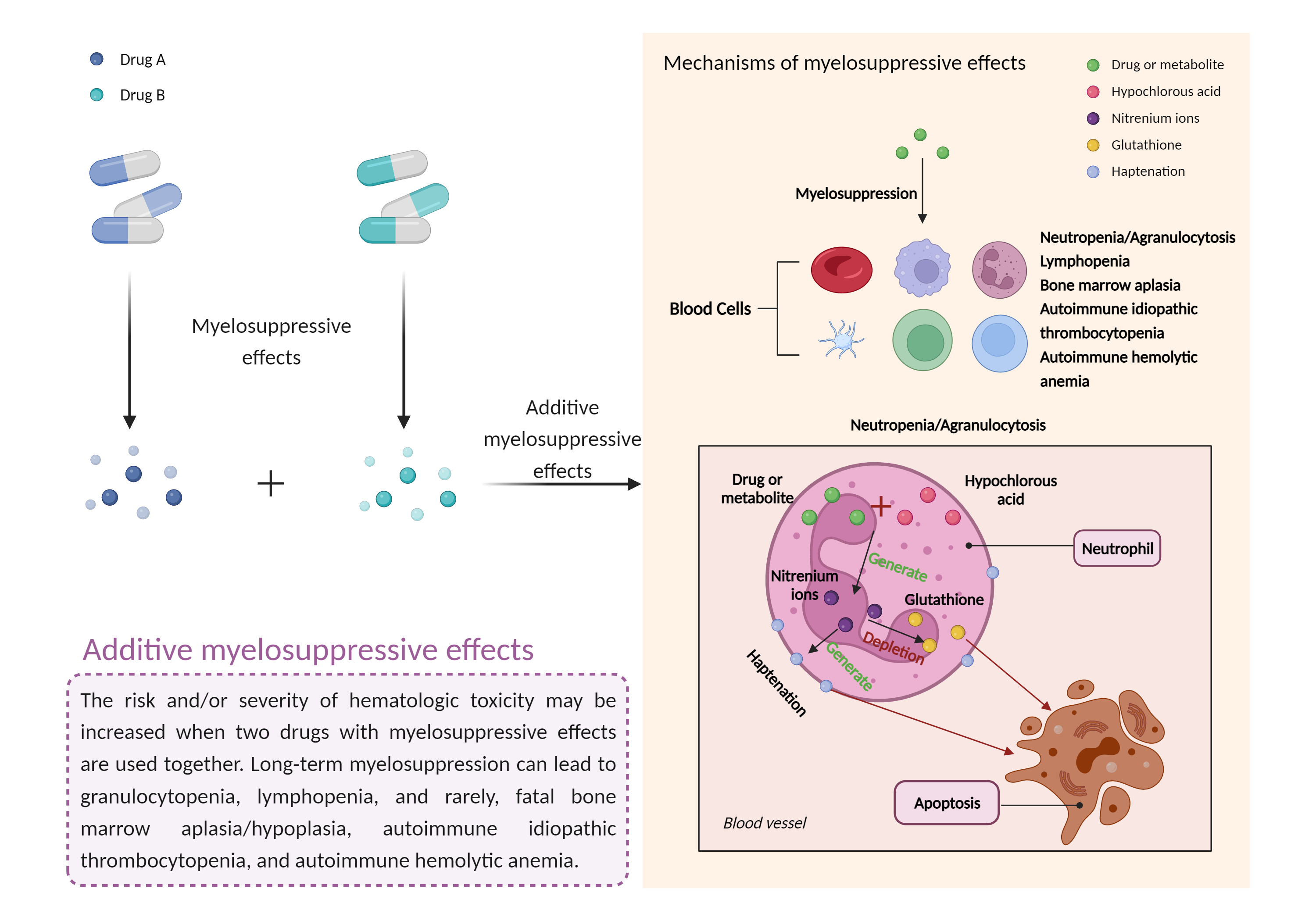 Could Not Find 2D Structure