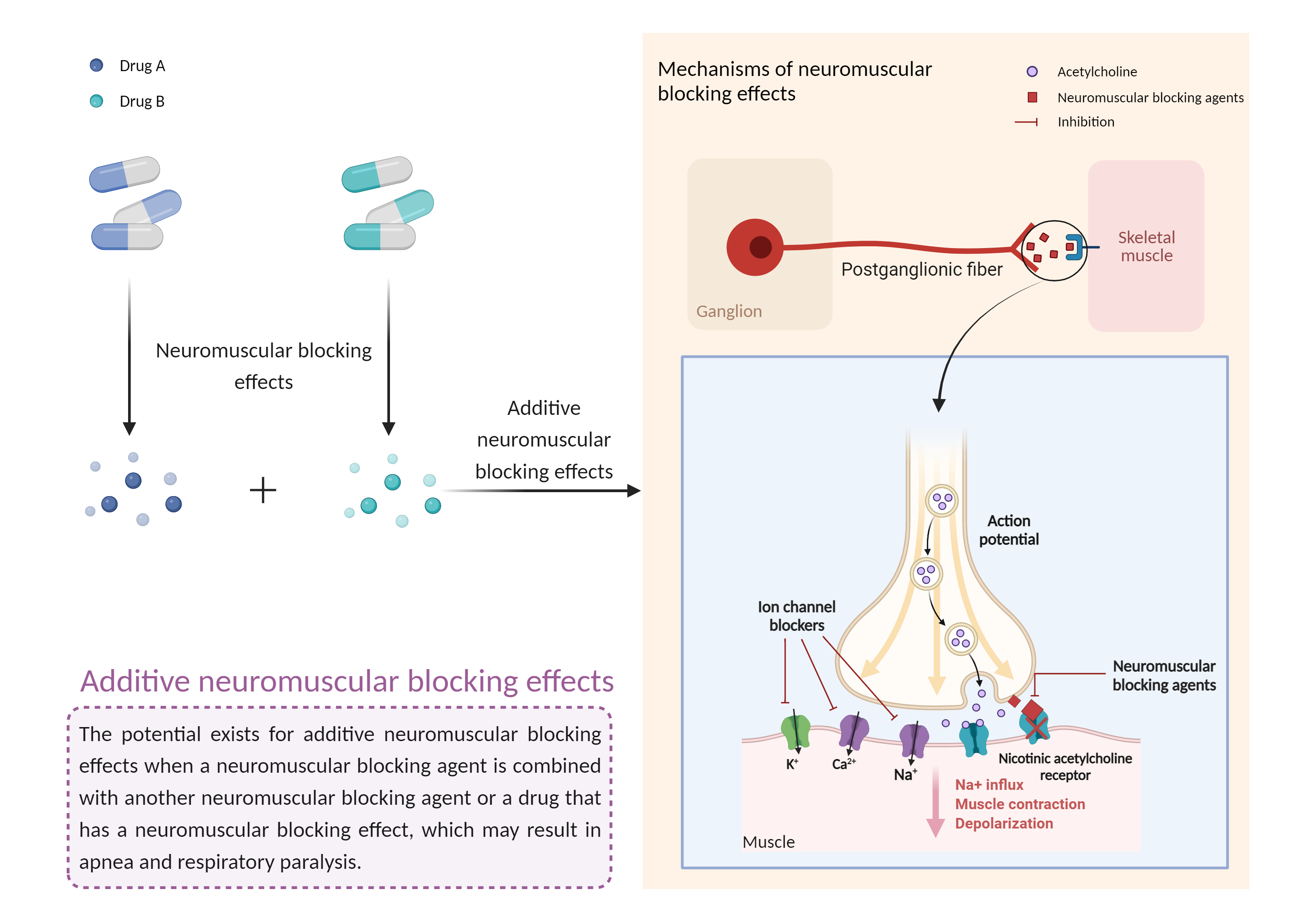 Could Not Find 2D Structure