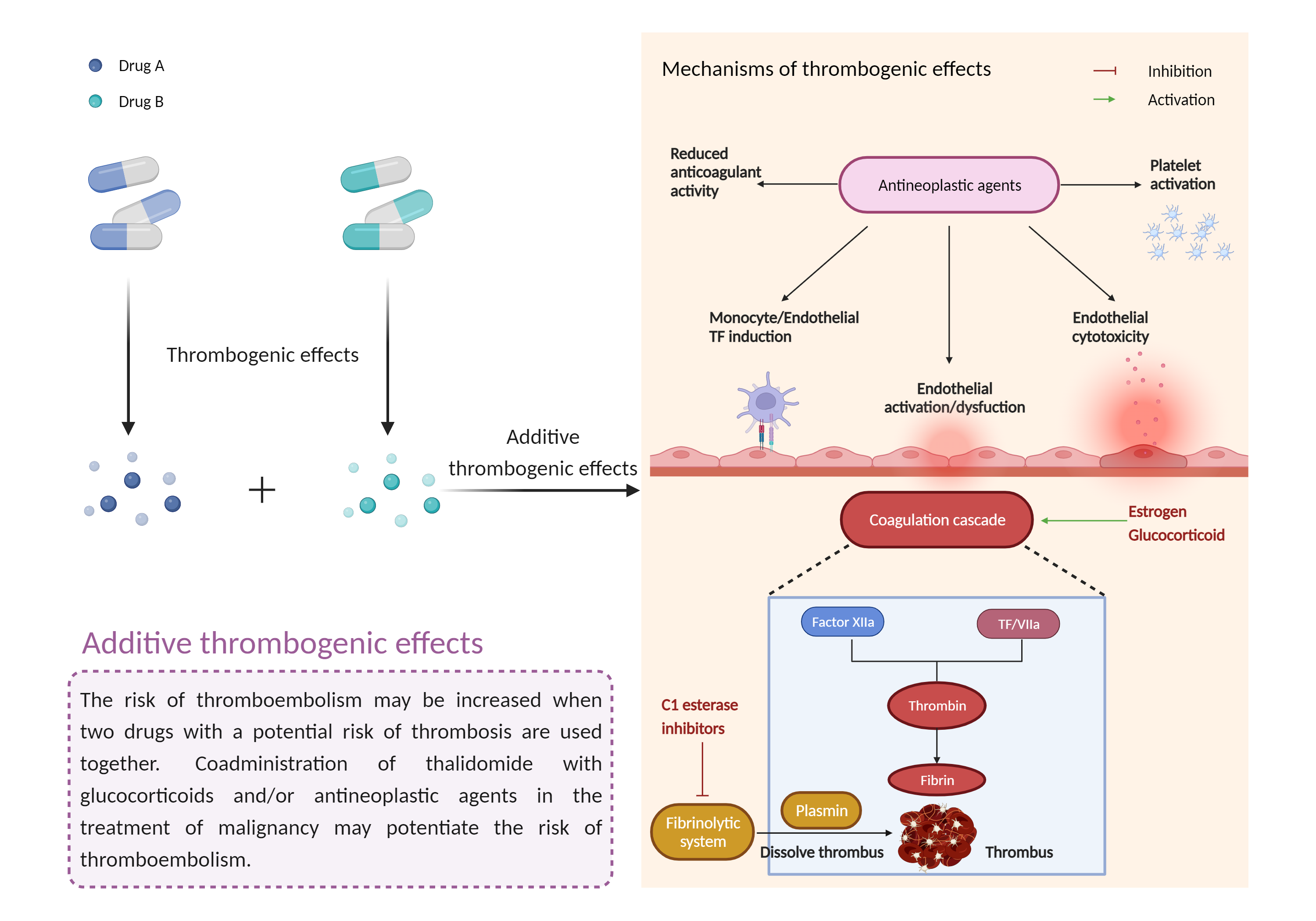 Could Not Find 2D Structure