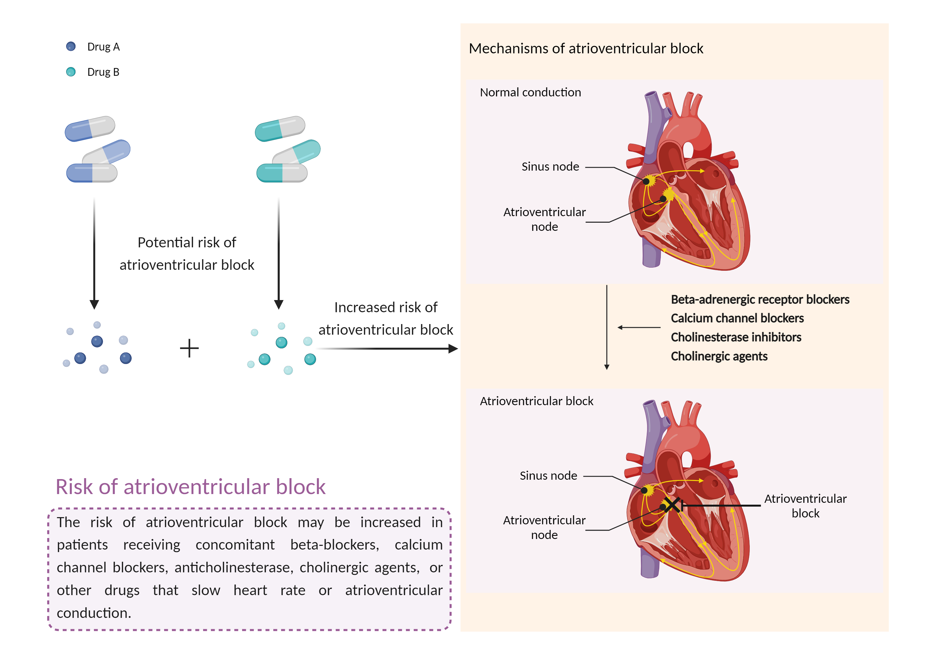 Could Not Find 2D Structure