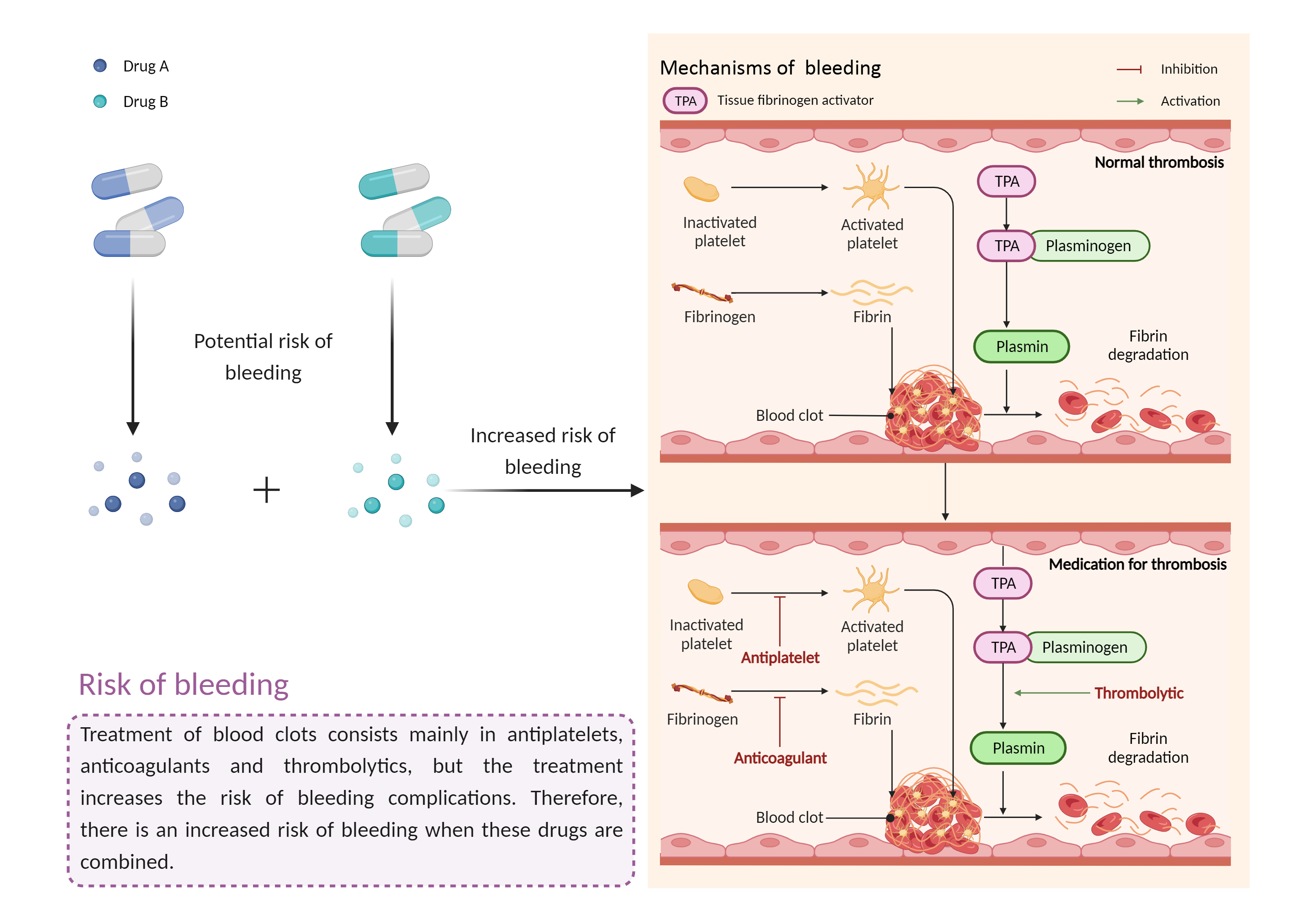 Could Not Find 2D Structure