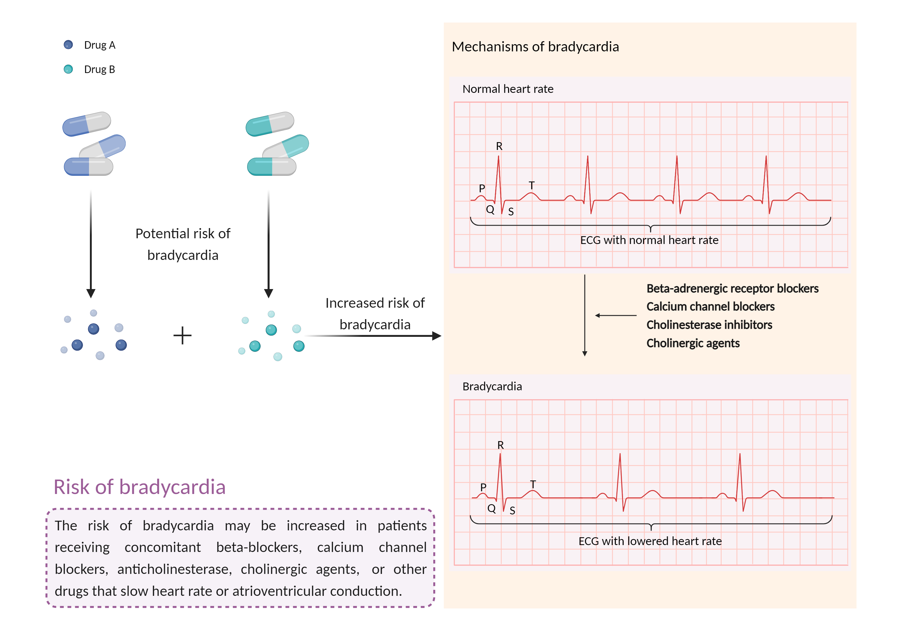 Could Not Find 2D Structure