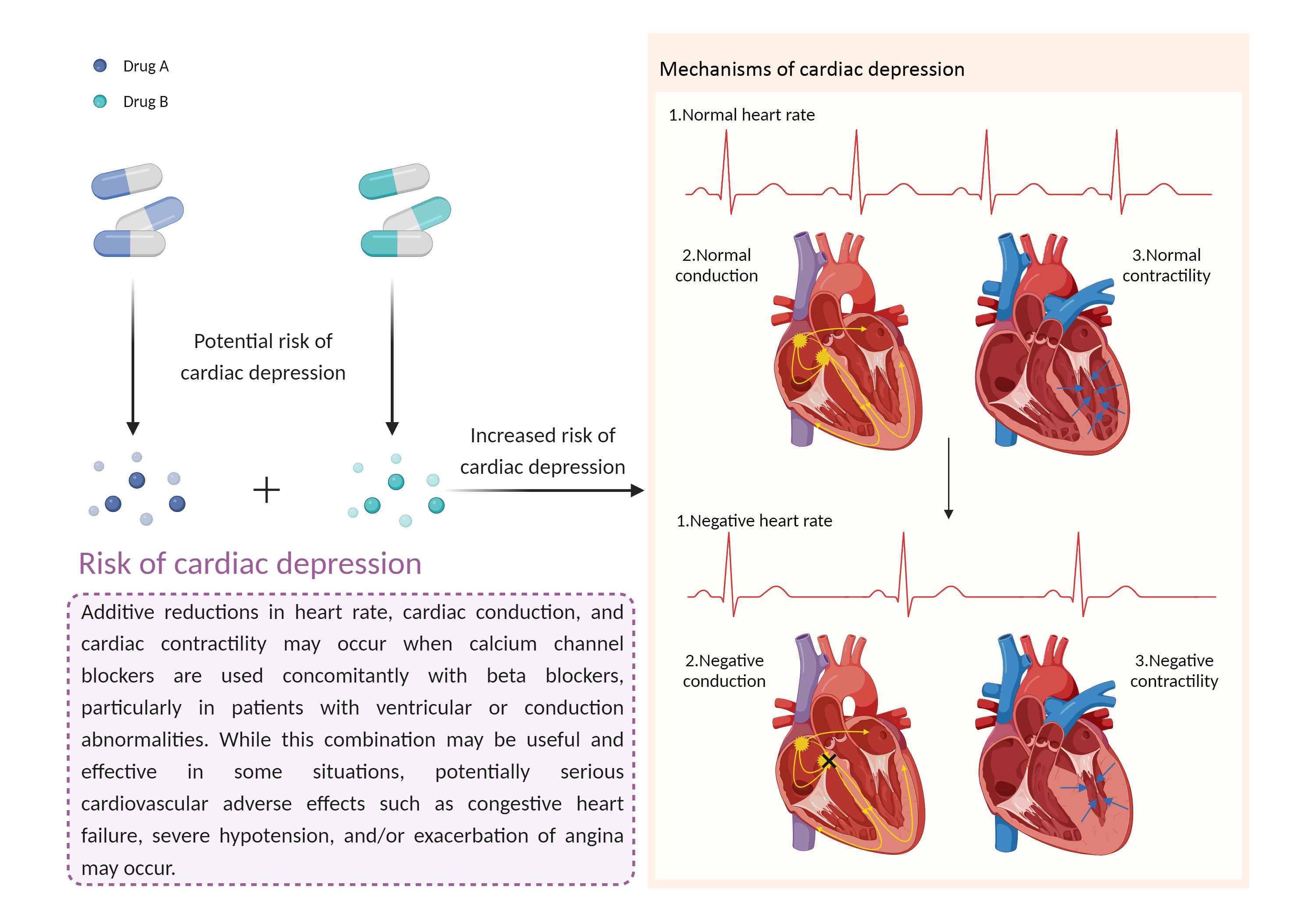 Could Not Find 2D Structure