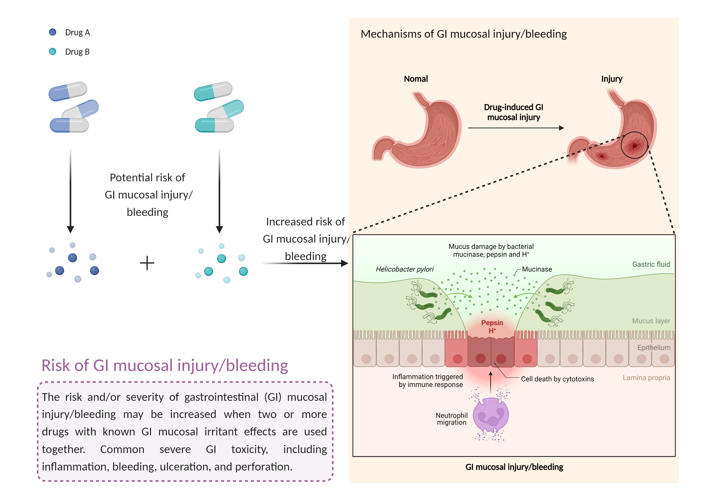 Could Not Find 2D Structure