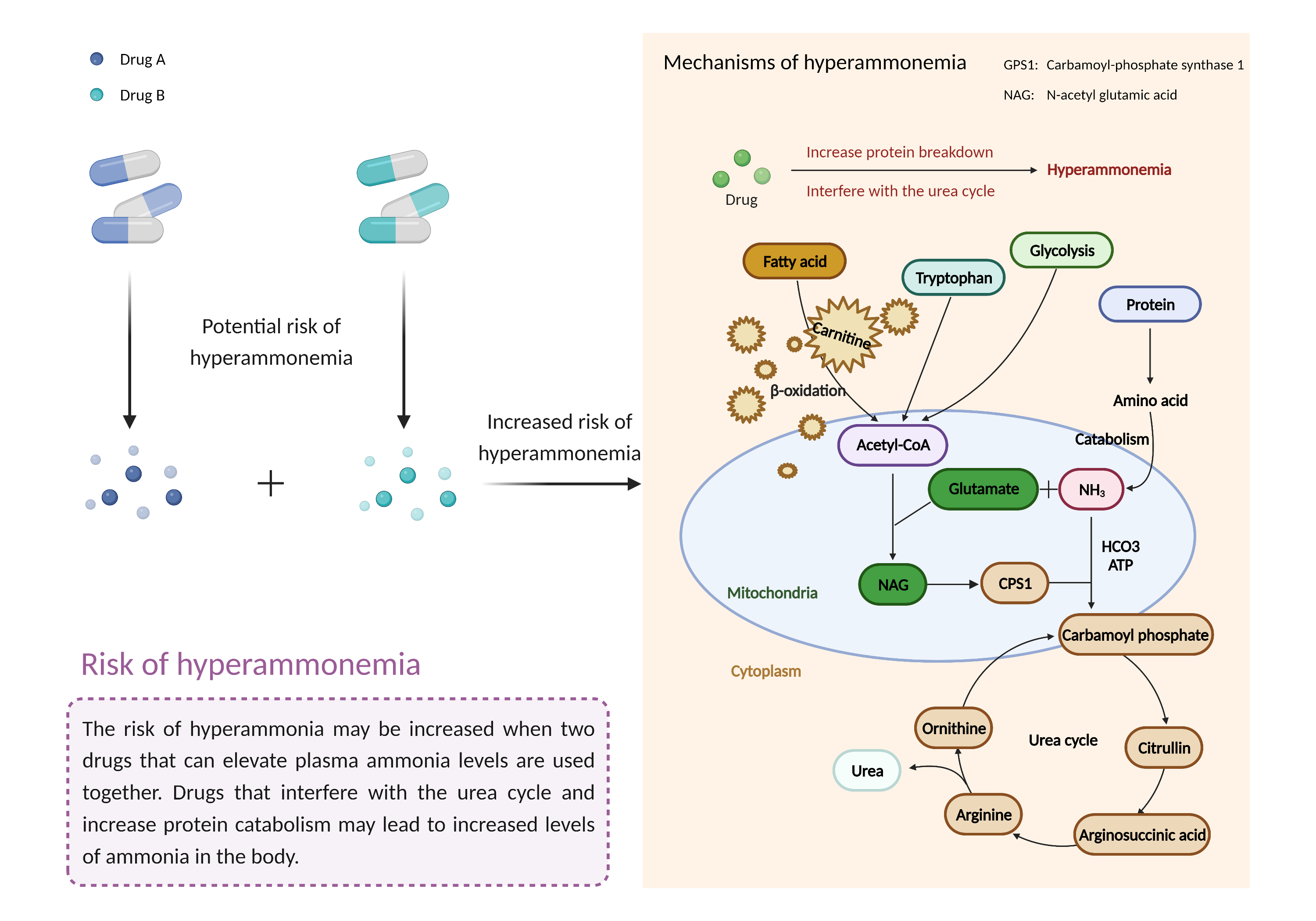 Could Not Find 2D Structure
