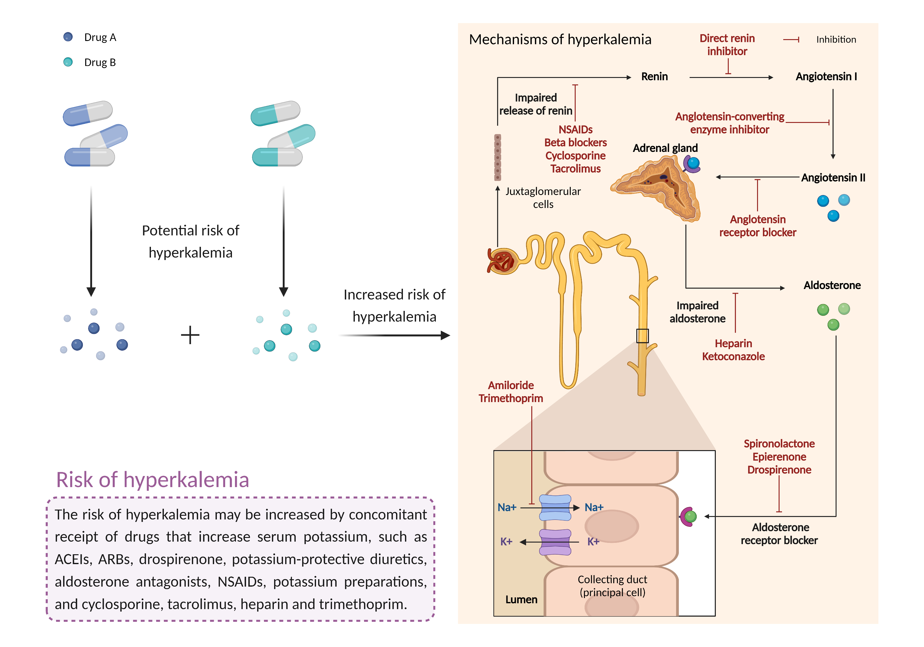 Could Not Find 2D Structure