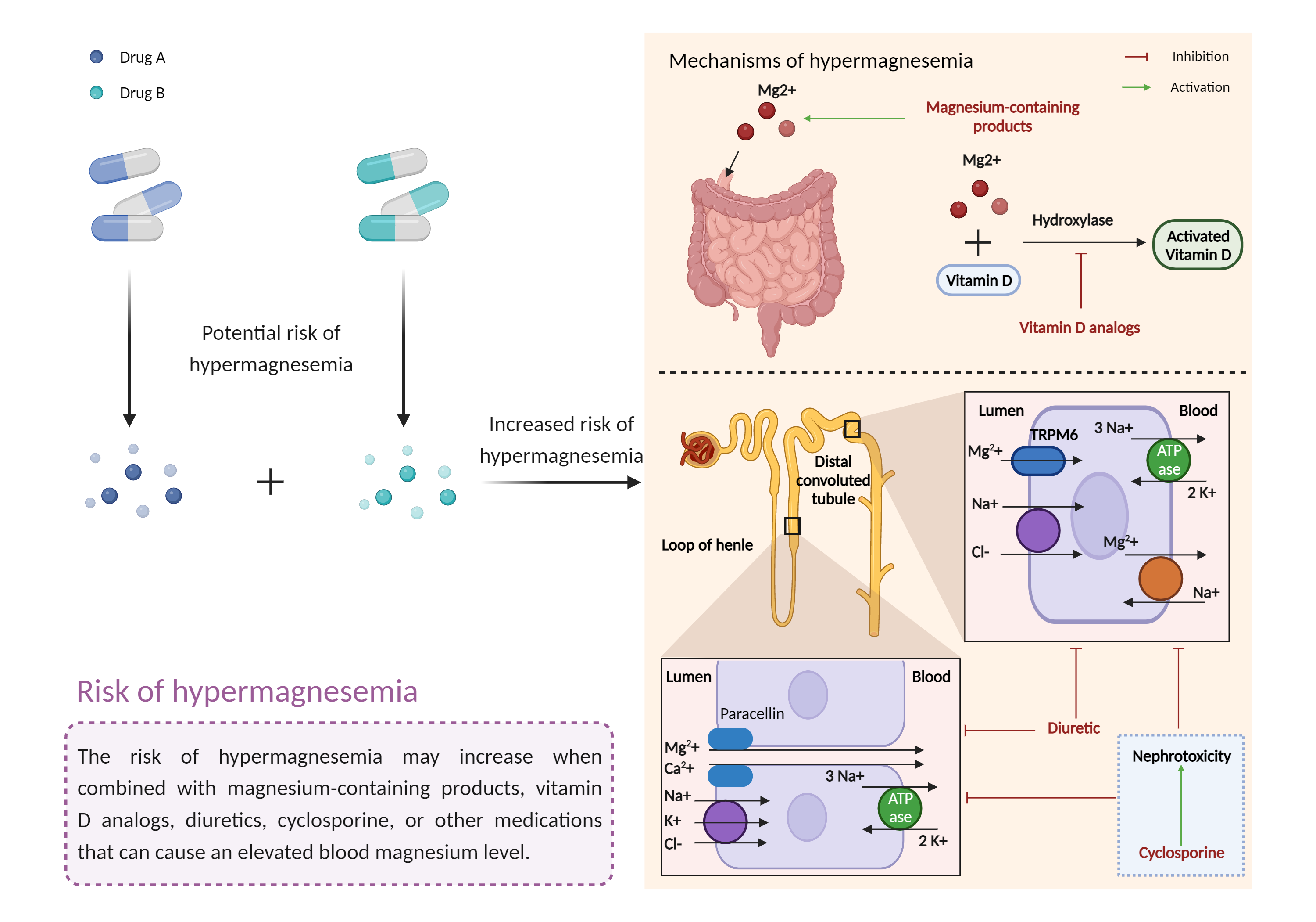 Could Not Find 2D Structure