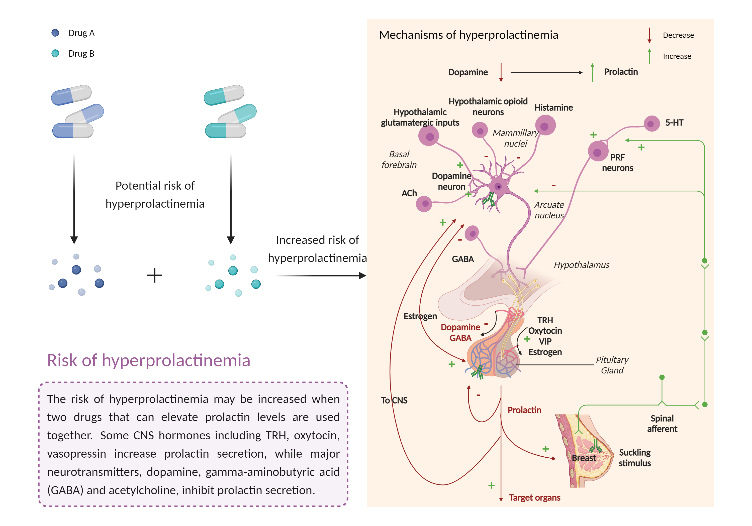 Could Not Find 2D Structure
