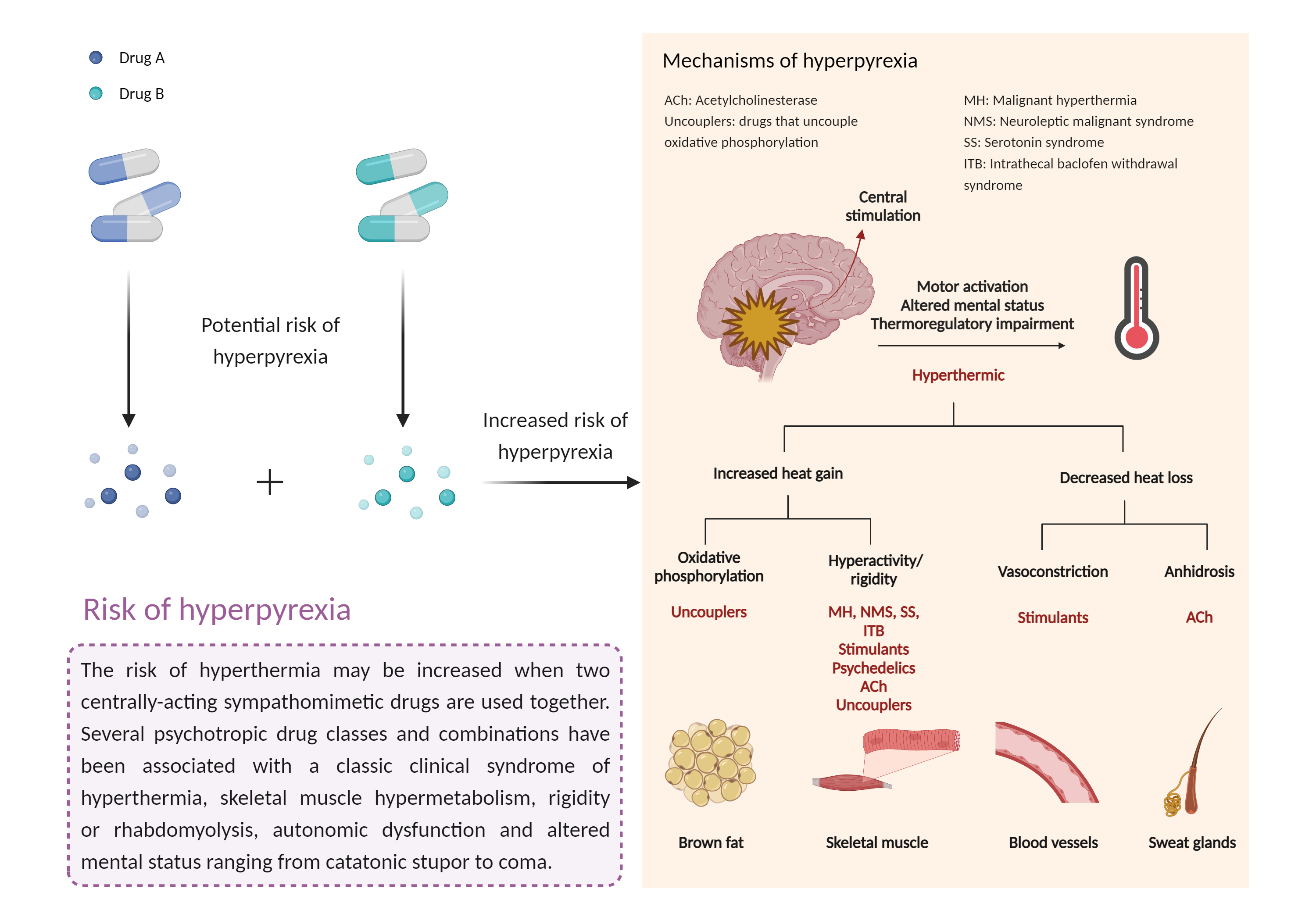 Could Not Find 2D Structure