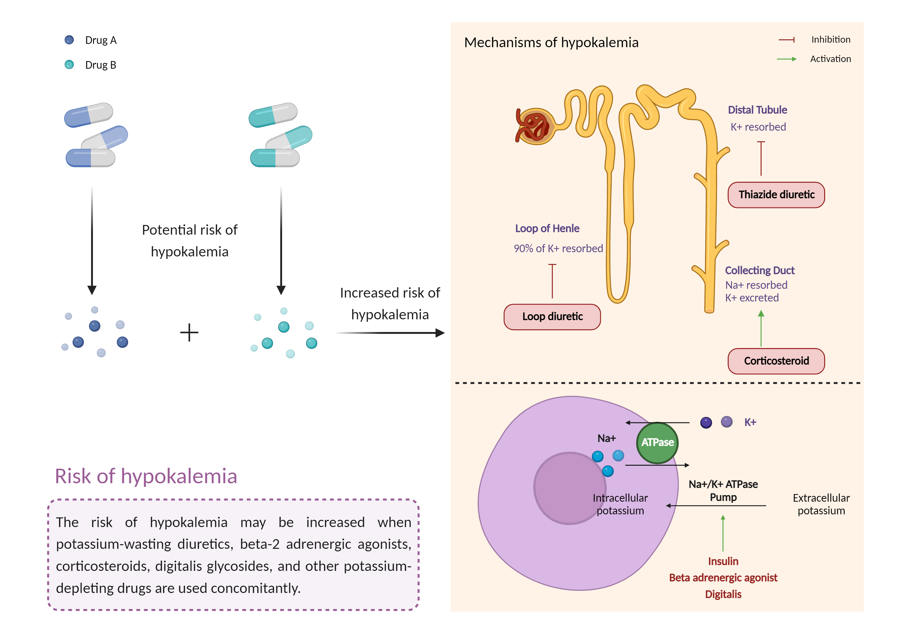 Could Not Find 2D Structure