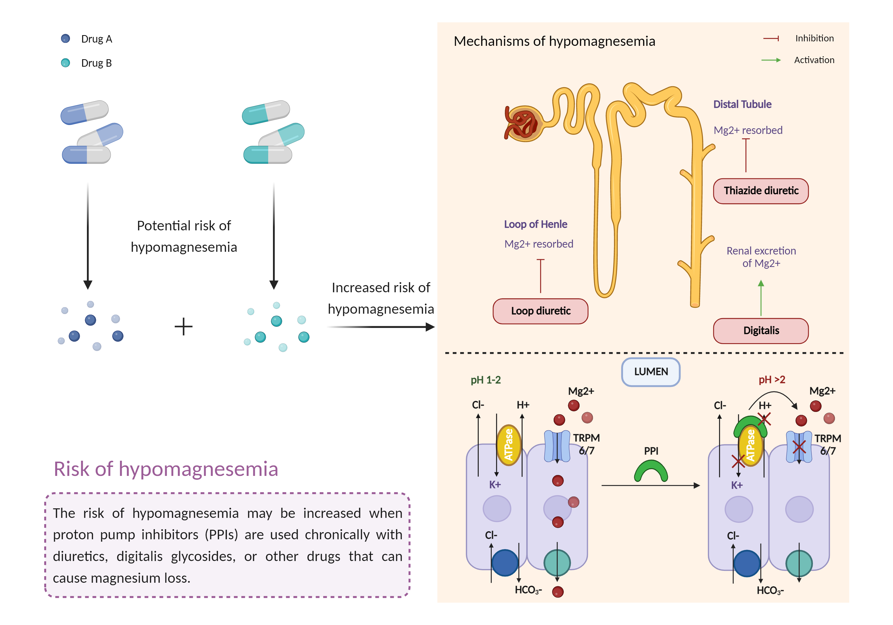 Could Not Find 2D Structure