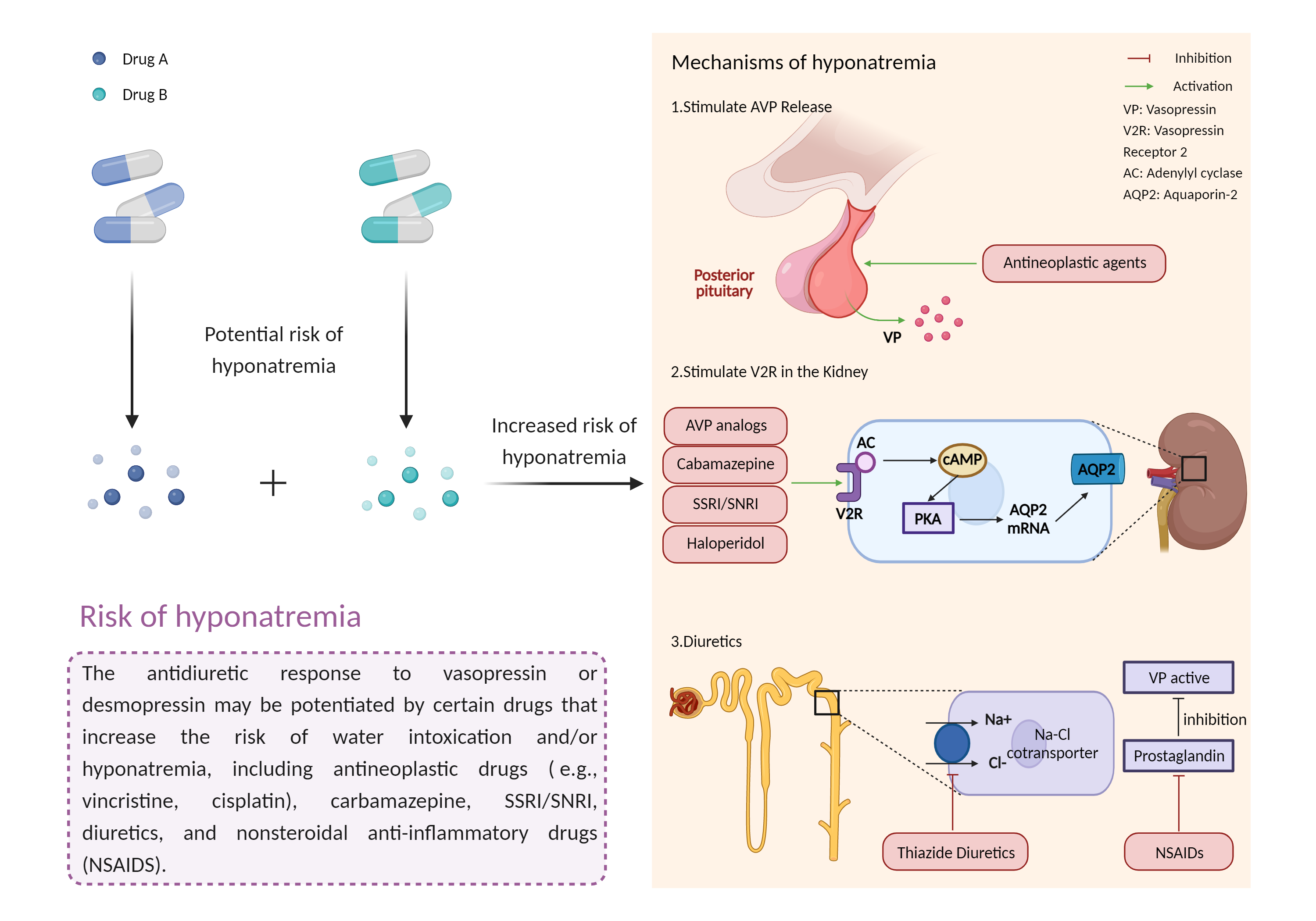 Could Not Find 2D Structure