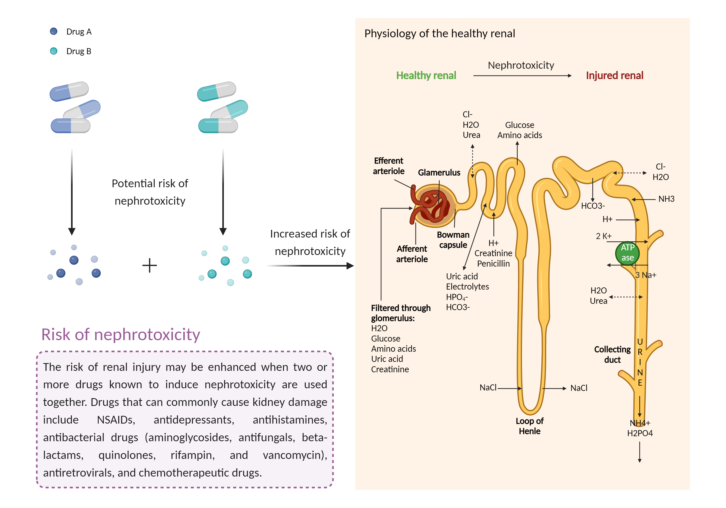 Could Not Find 2D Structure