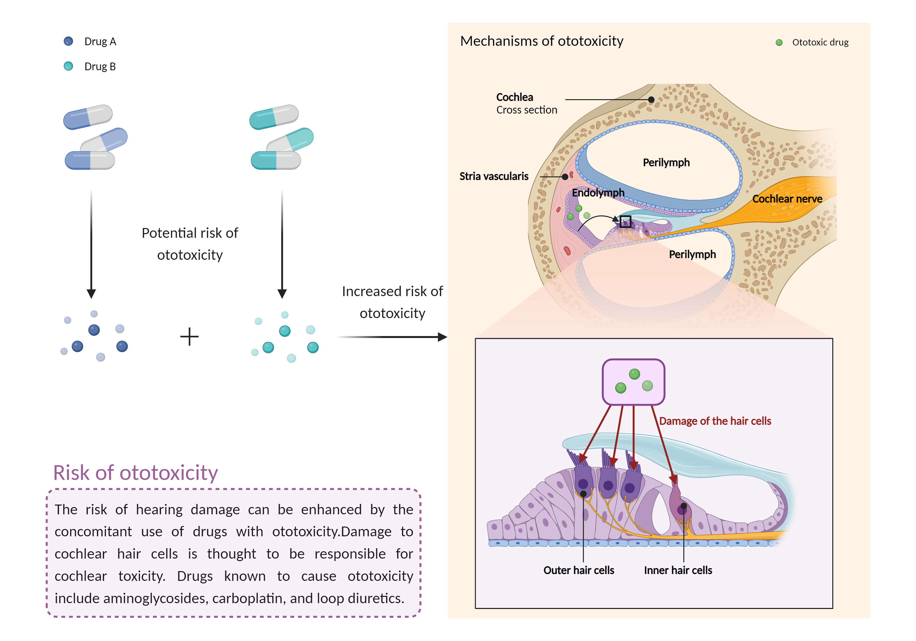 Could Not Find 2D Structure