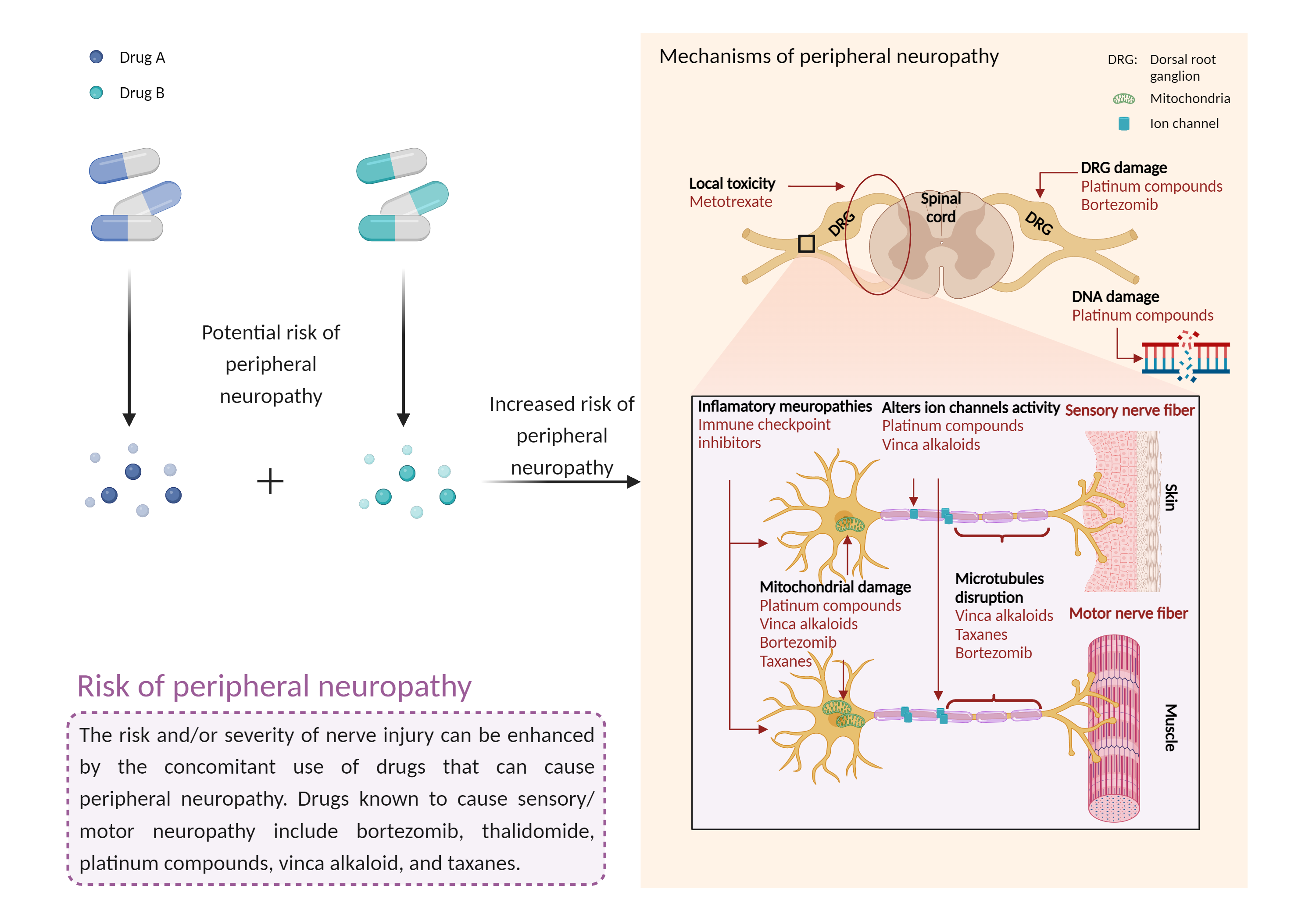 Could Not Find 2D Structure