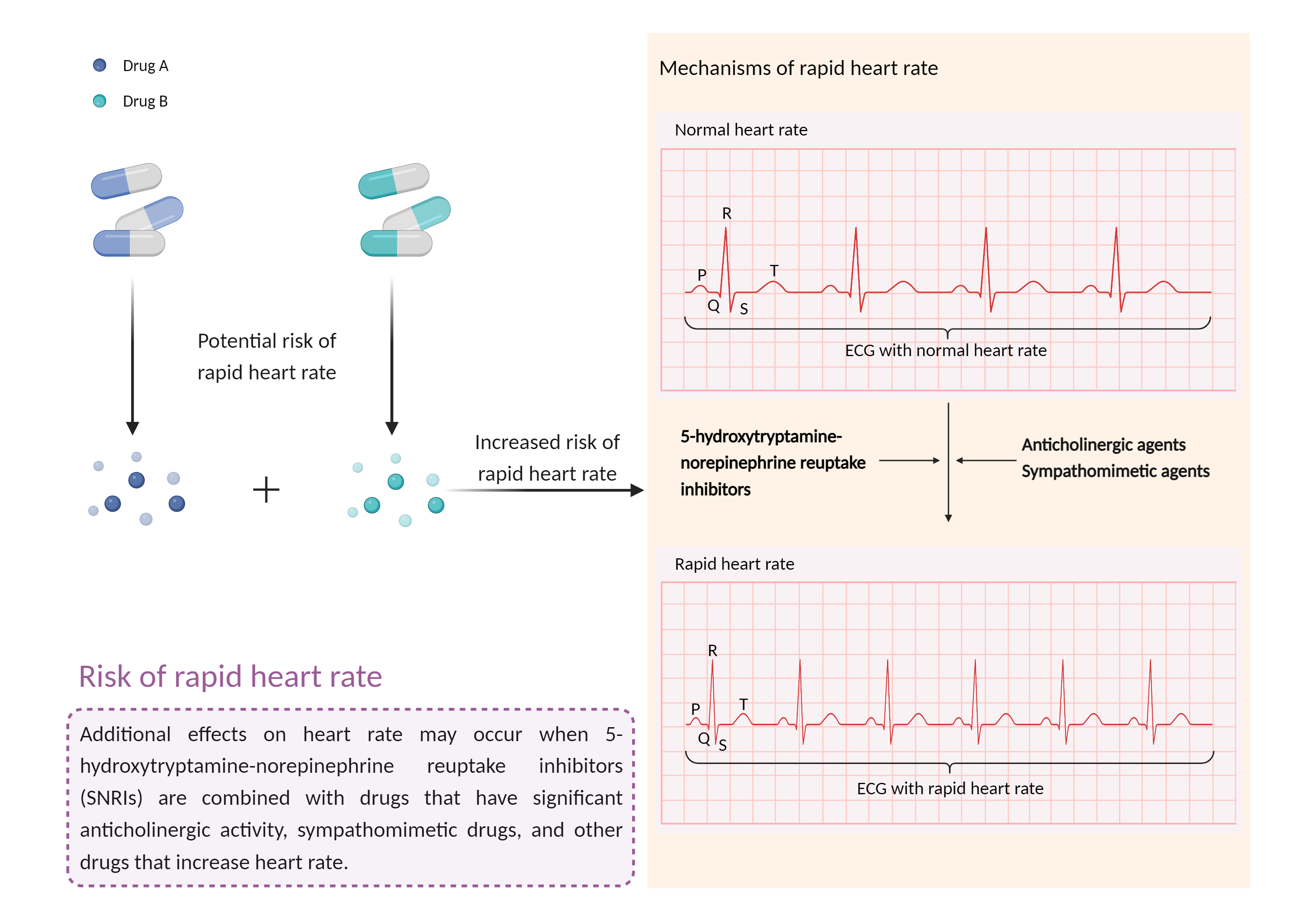 Could Not Find 2D Structure