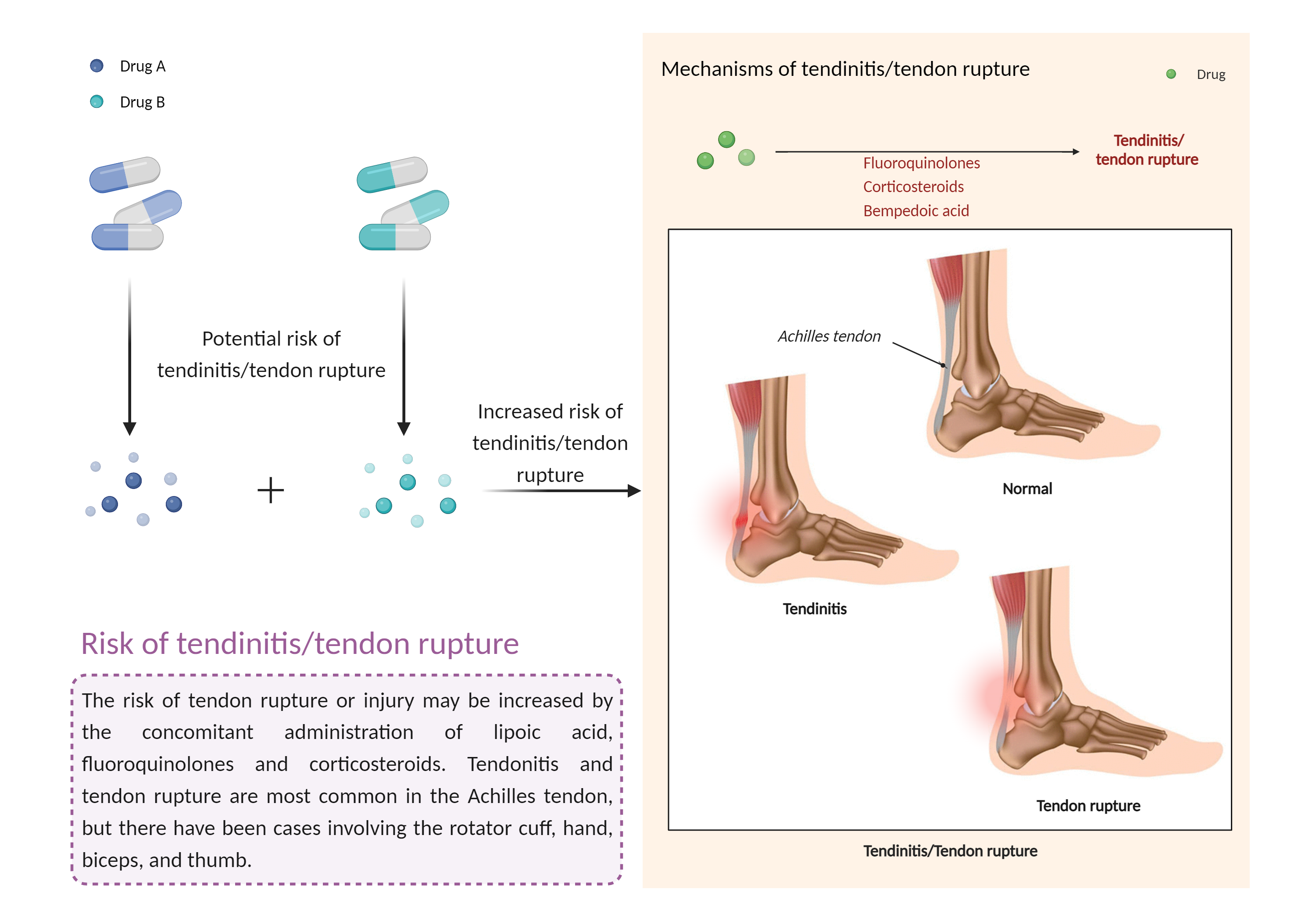 Could Not Find 2D Structure