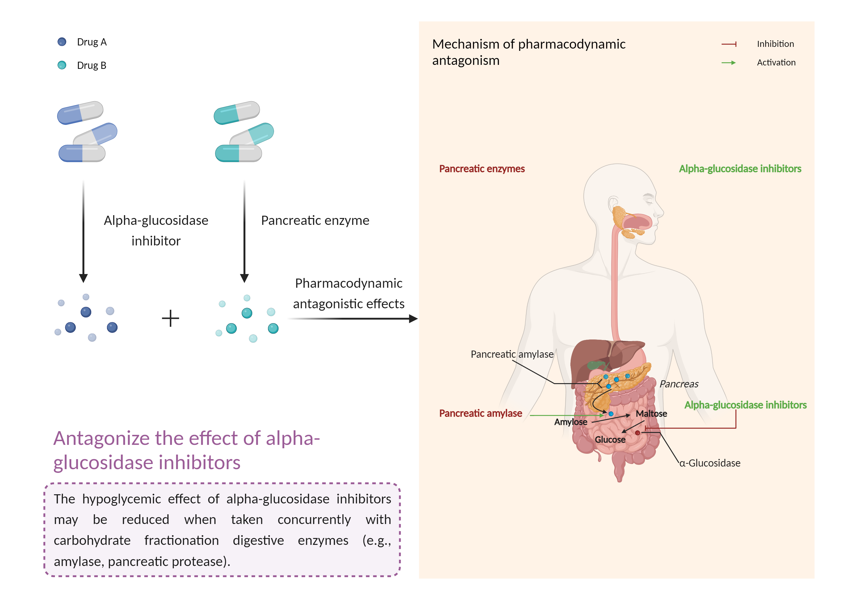 Could Not Find 2D Structure