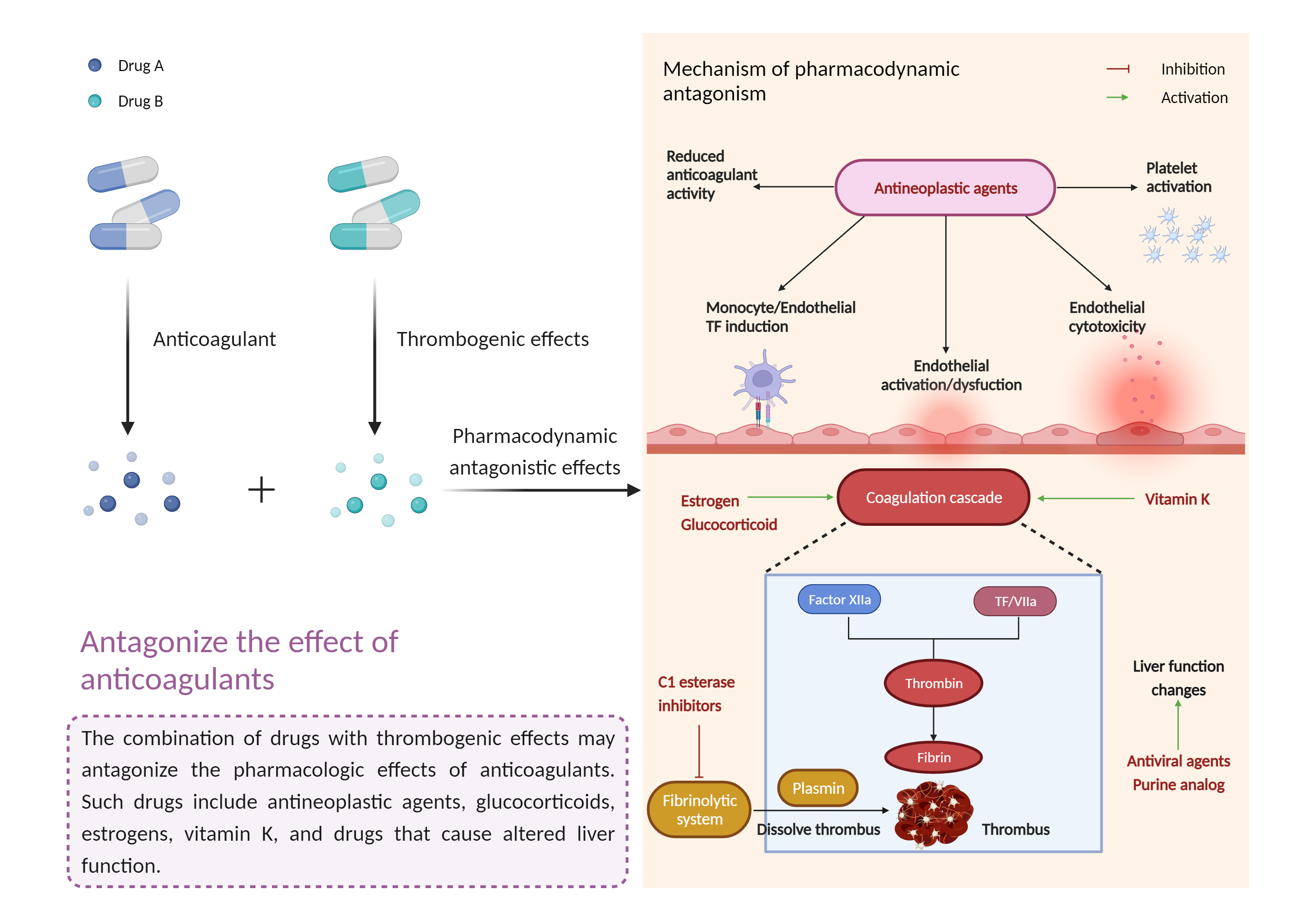 Could Not Find 2D Structure