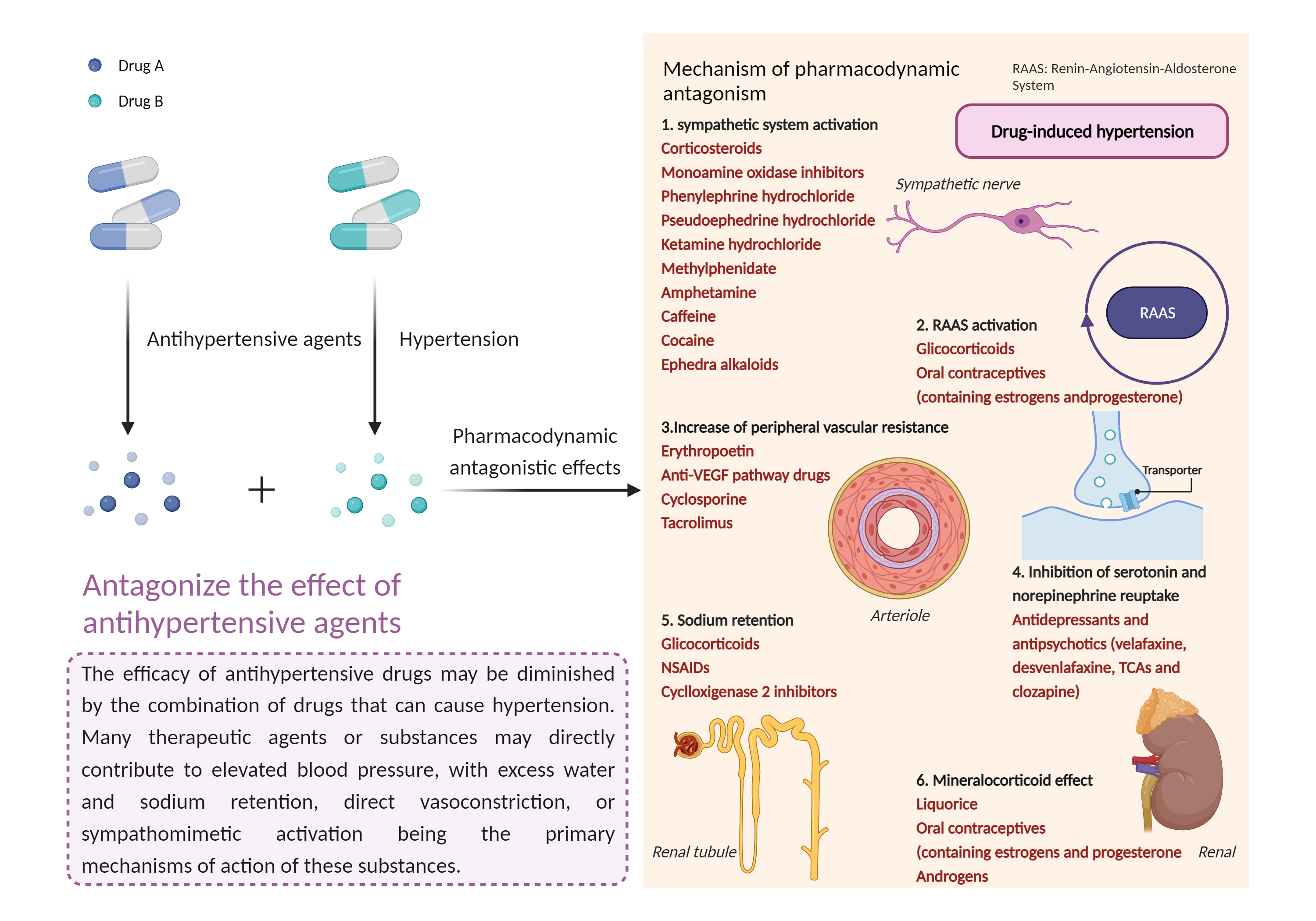 Could Not Find 2D Structure