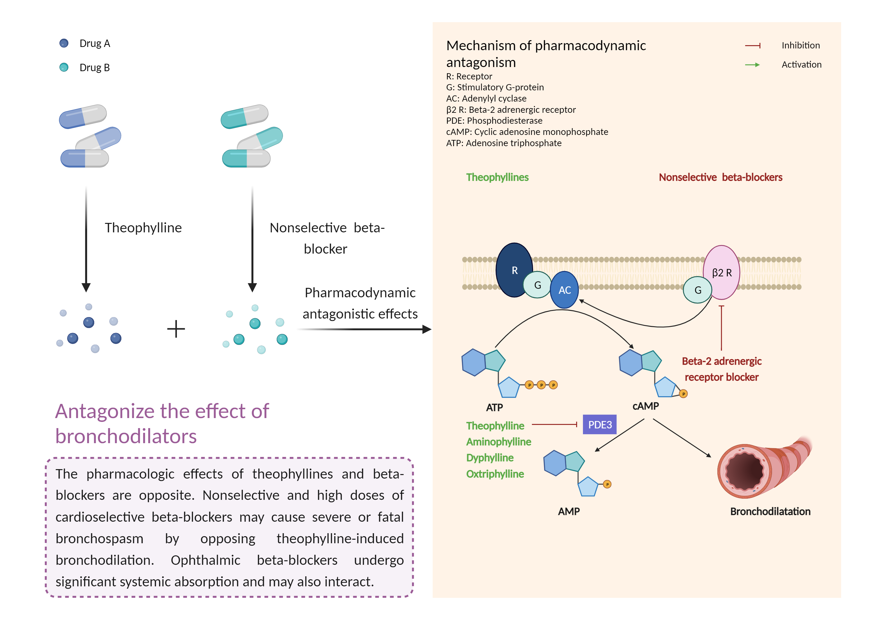 Could Not Find 2D Structure