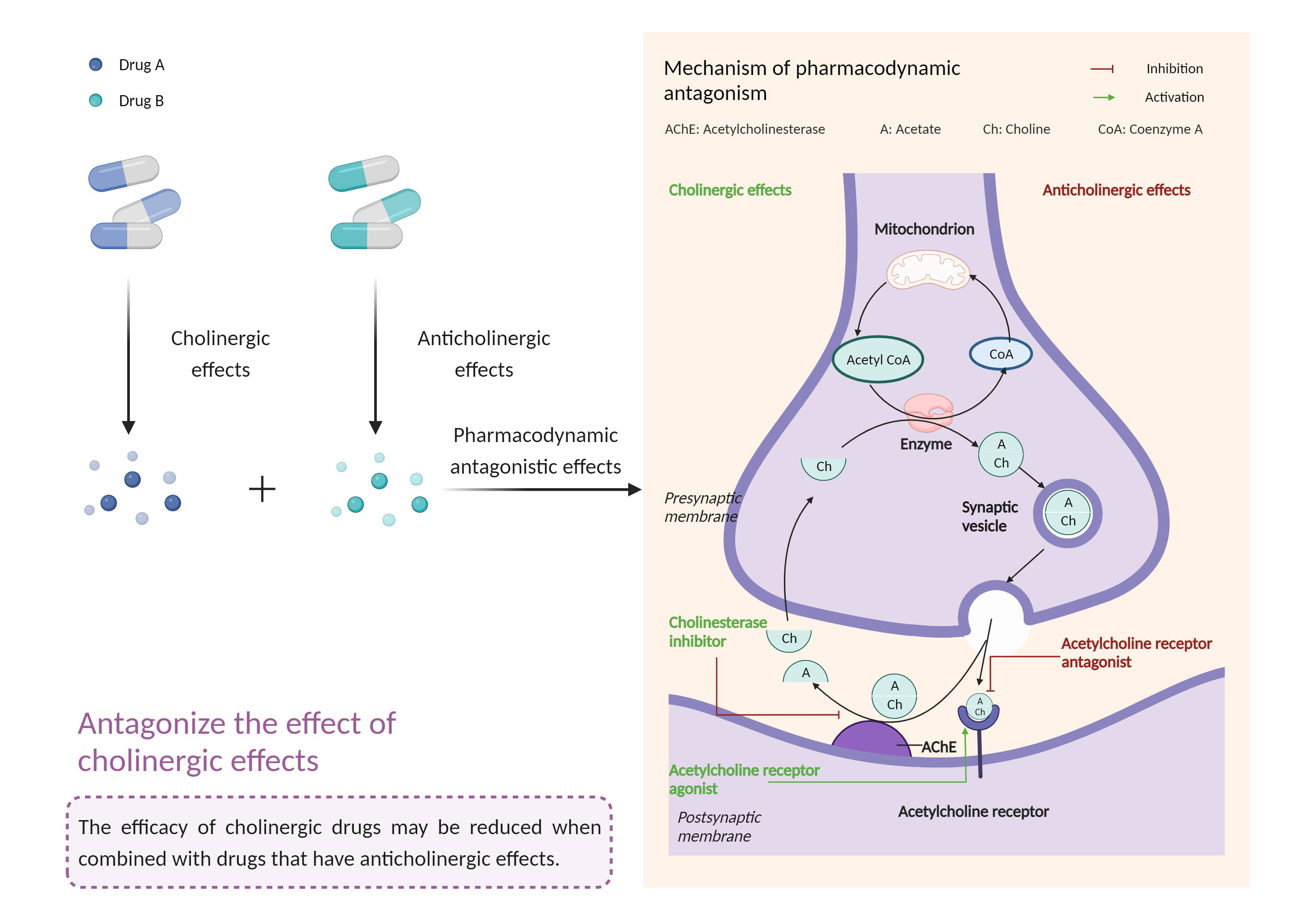Could Not Find 2D Structure